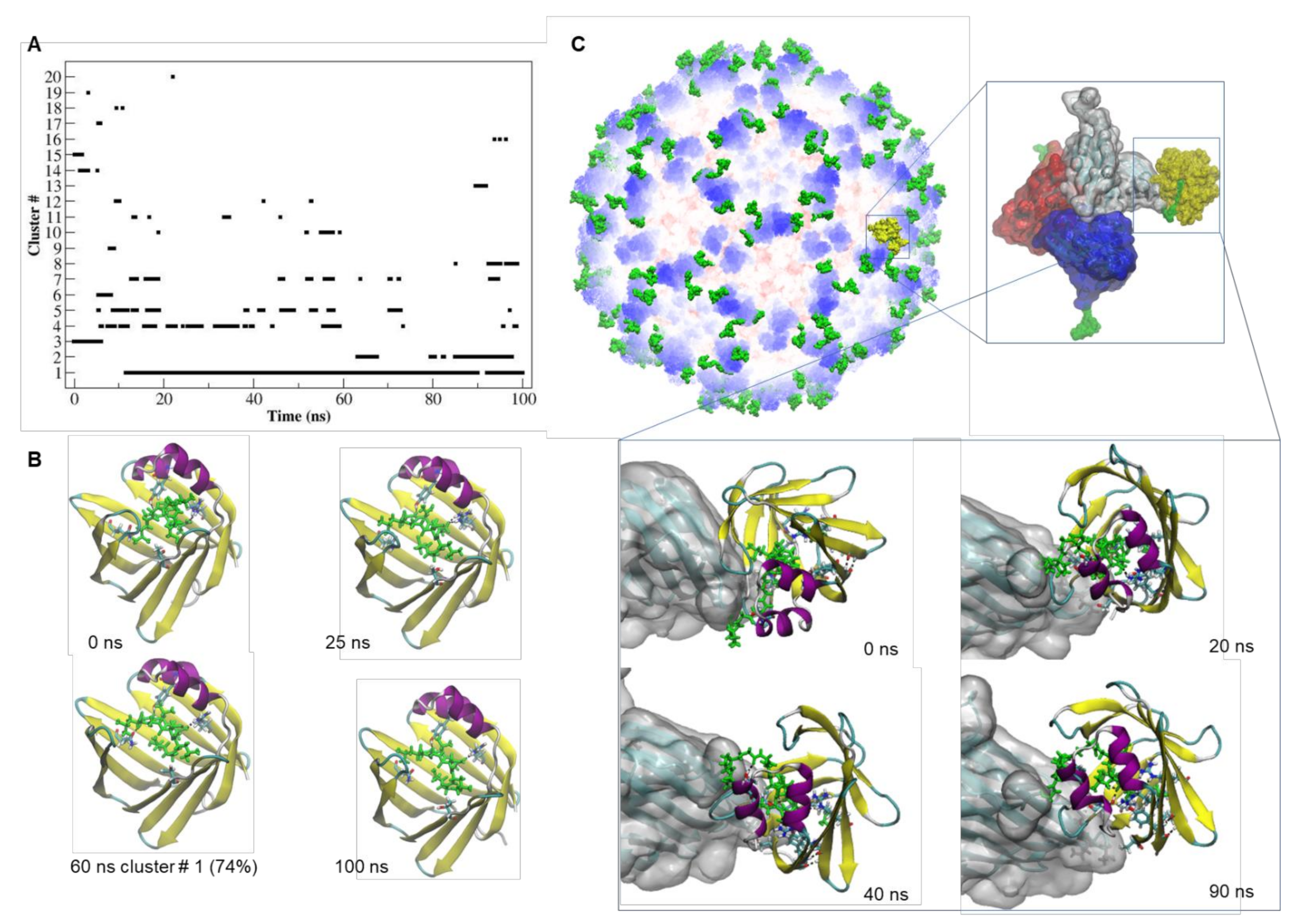 Ijms 22 10523 g004 550