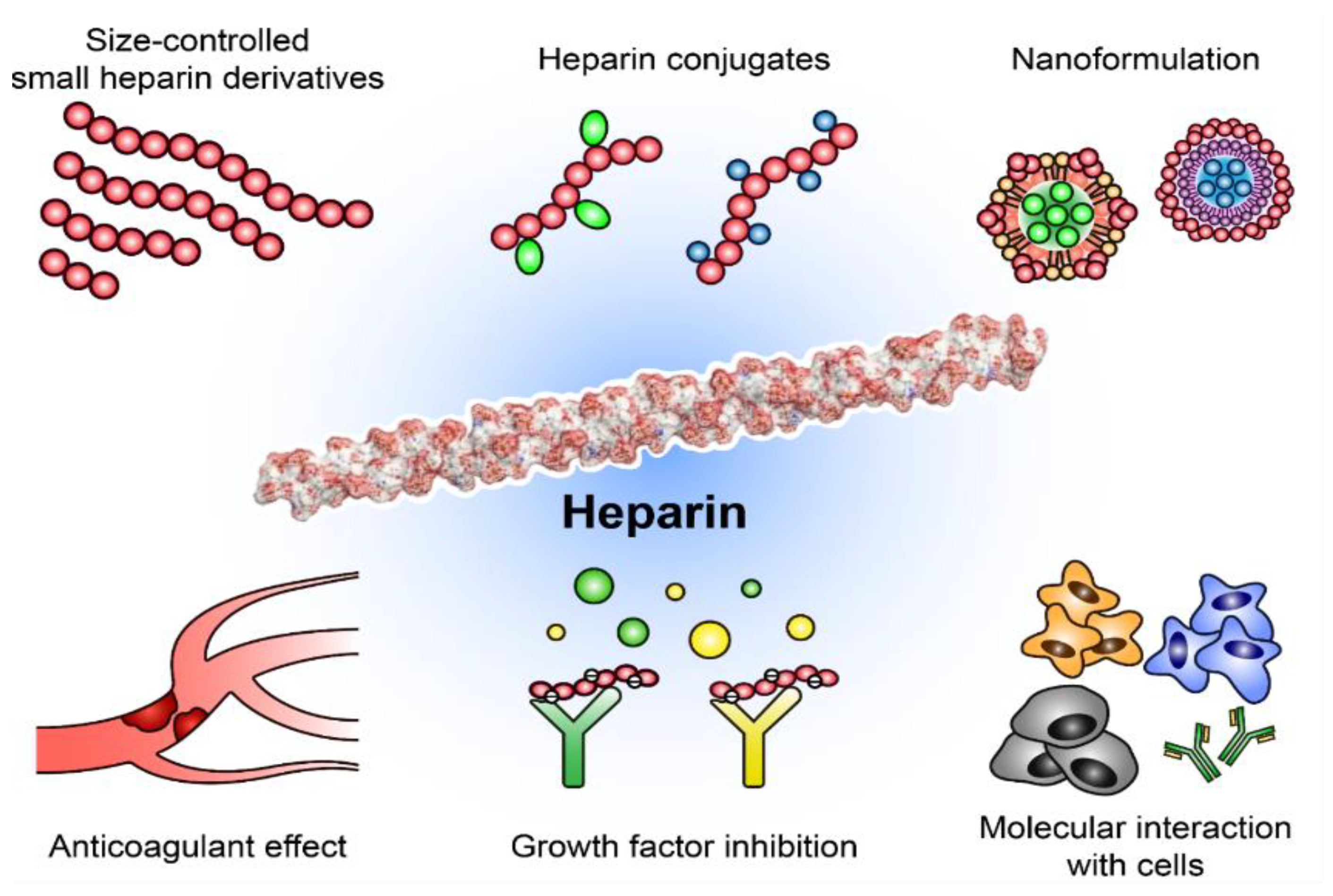 Ijms 22 10524 g001 550