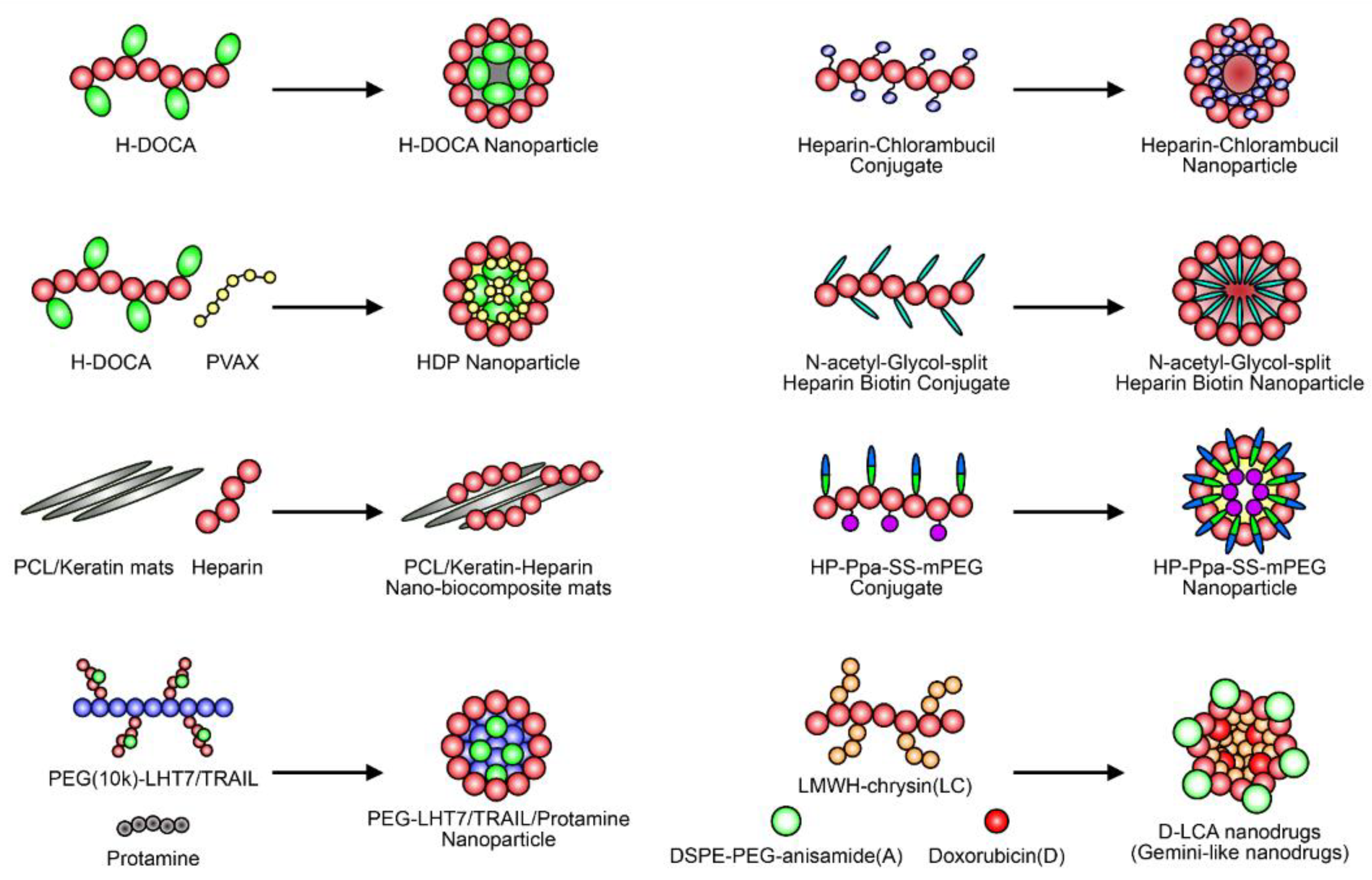 Ijms 22 10524 g004 550
