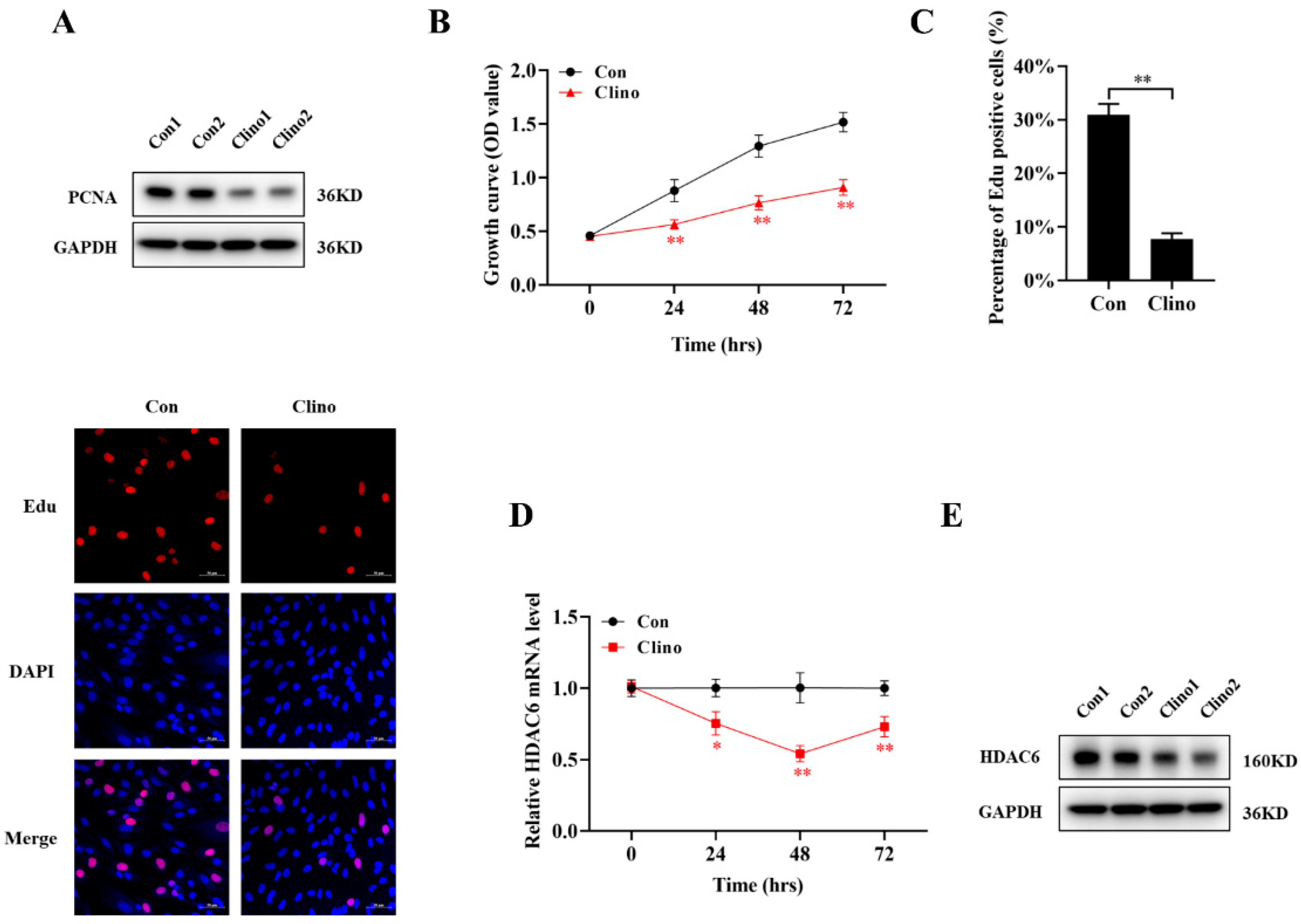 Ijms 22 10527 g001 550