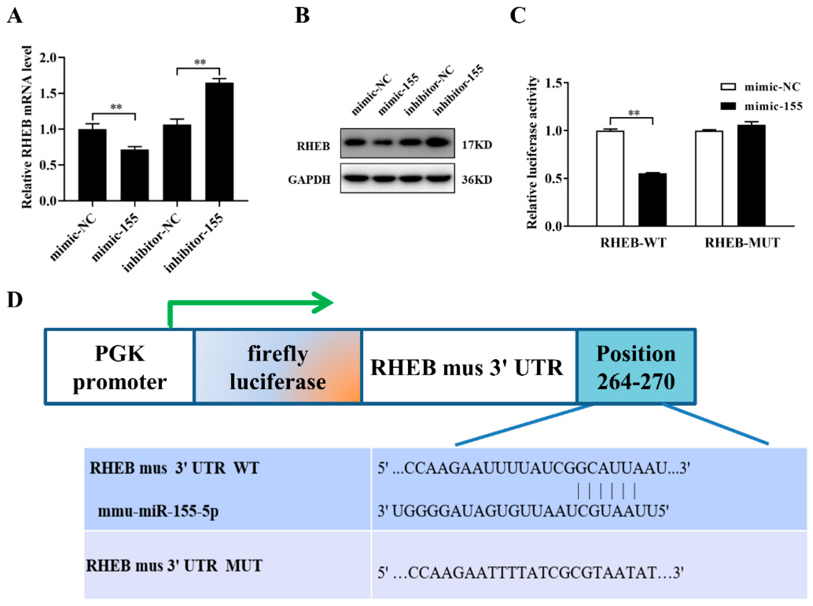 Ijms 22 10527 g005 550
