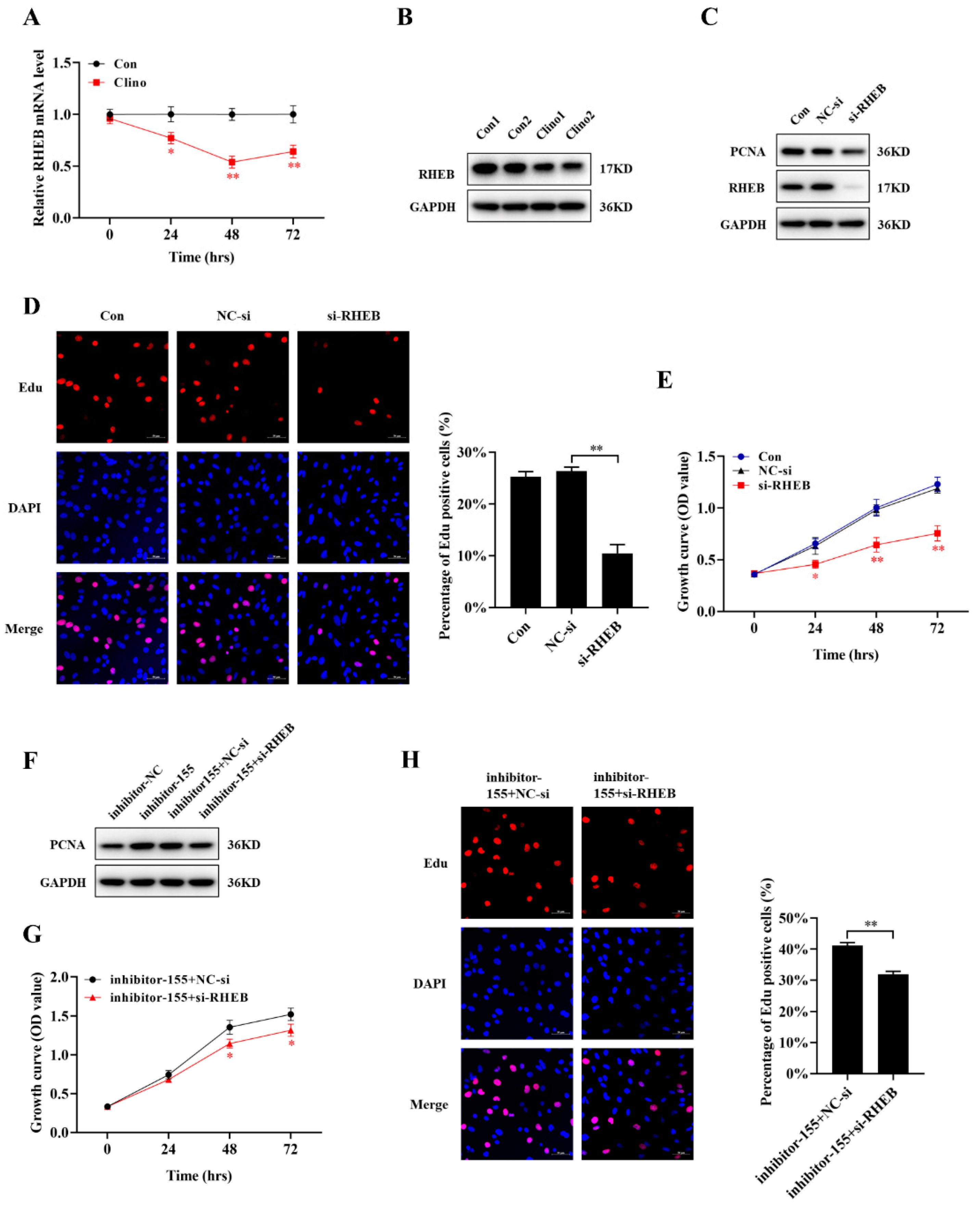 Ijms 22 10527 g006 550