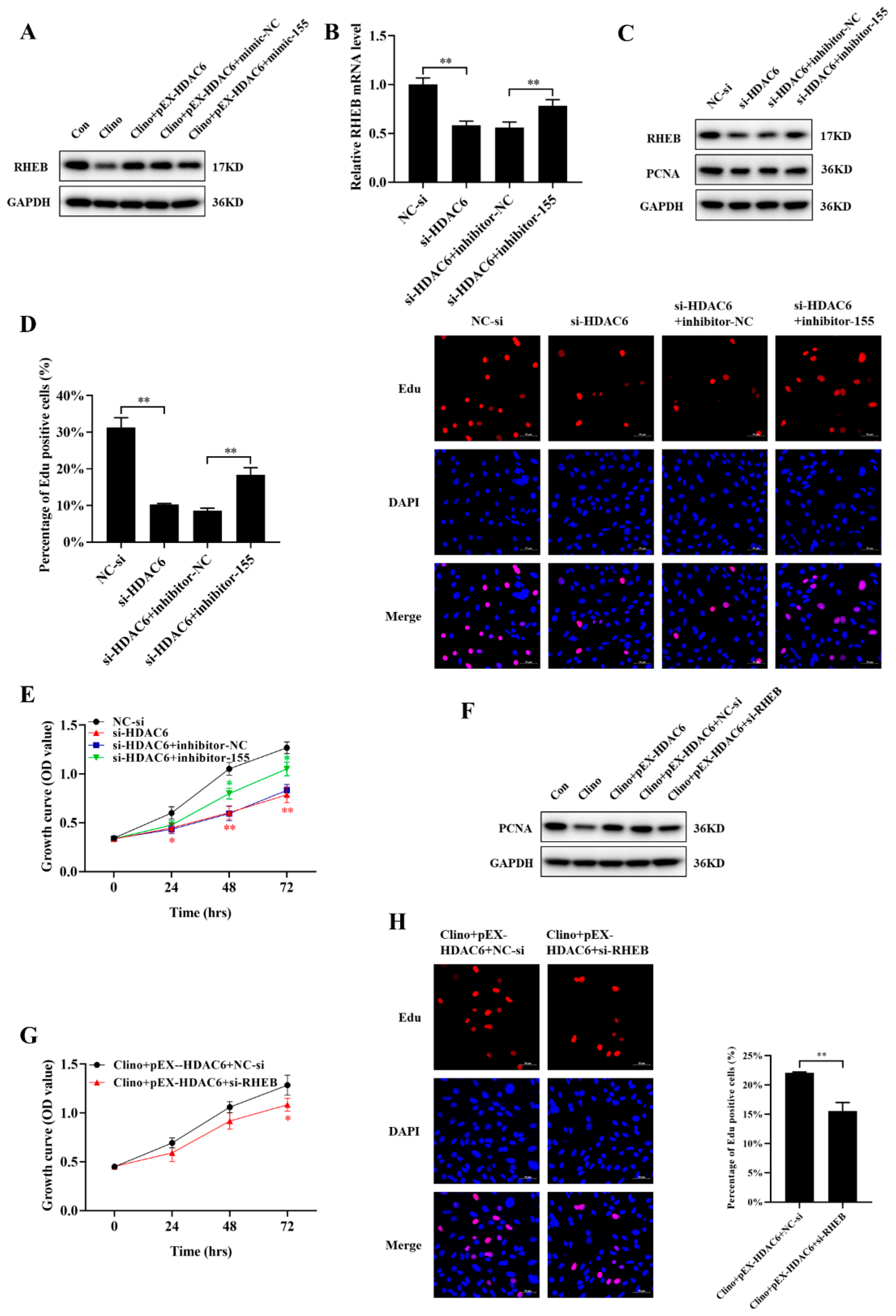 Ijms 22 10527 g007 550