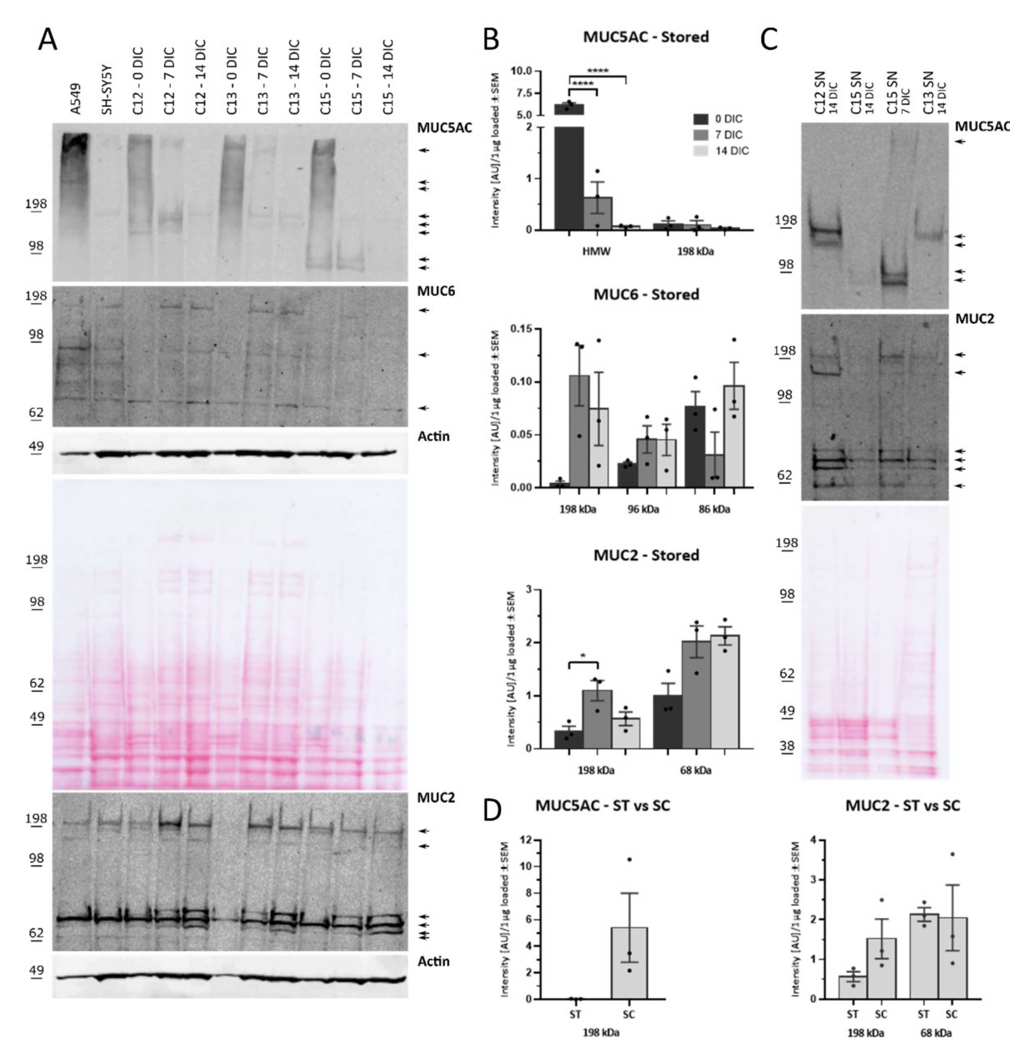 Ijms 22 10528 g003 550