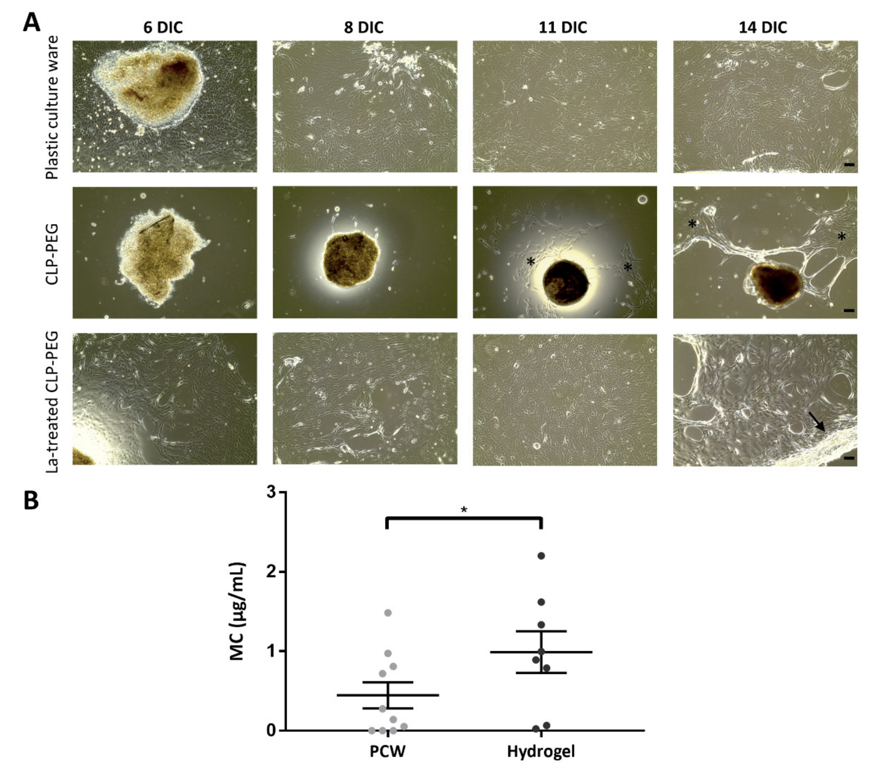 Ijms 22 10528 g005 550