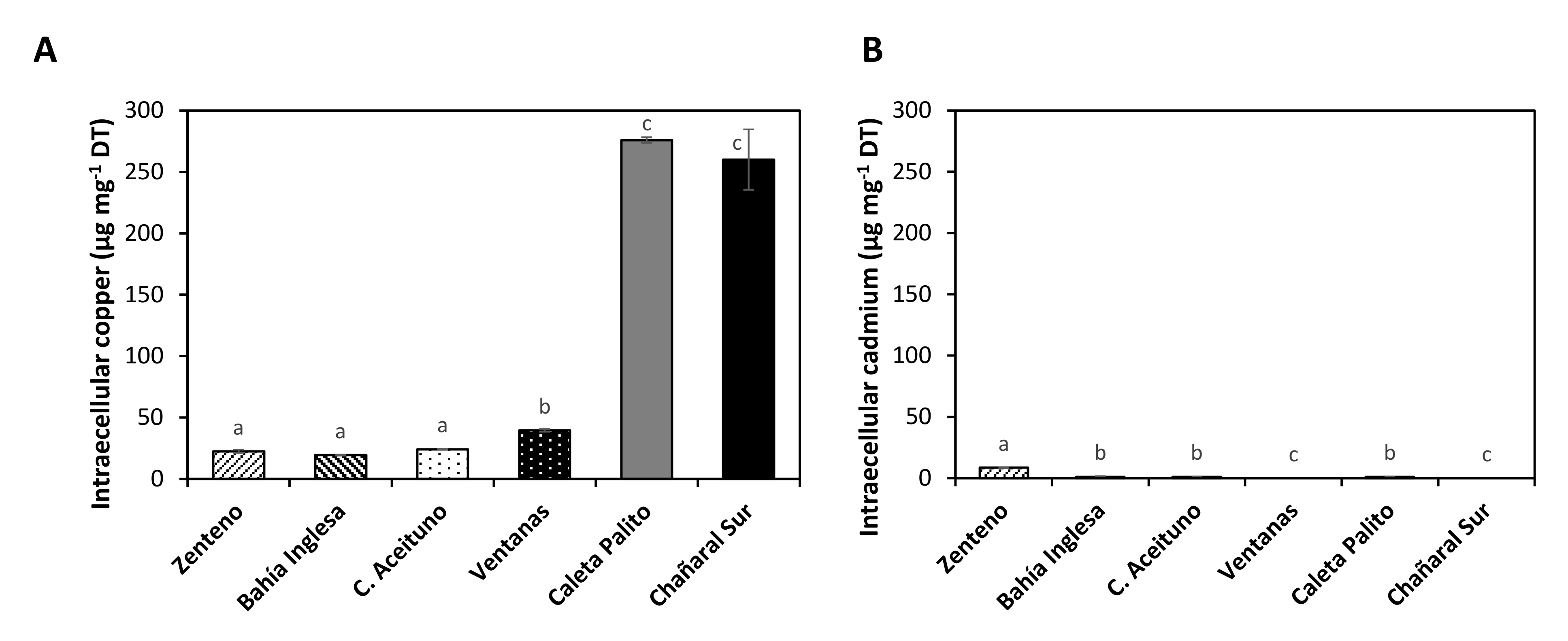 Ijms 22 10531 g002 Ijms 22 10531 g002