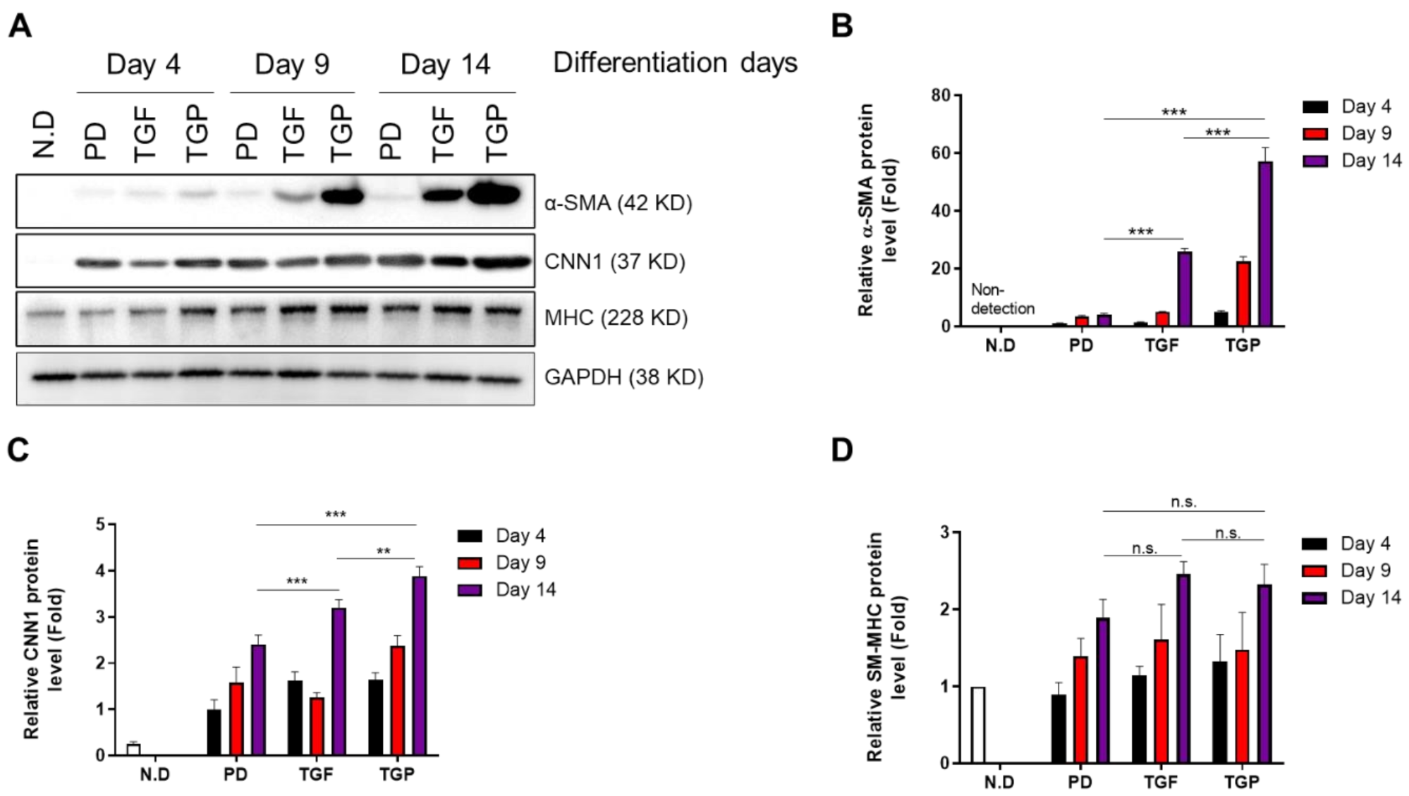 Ijms 22 10532 g002 550