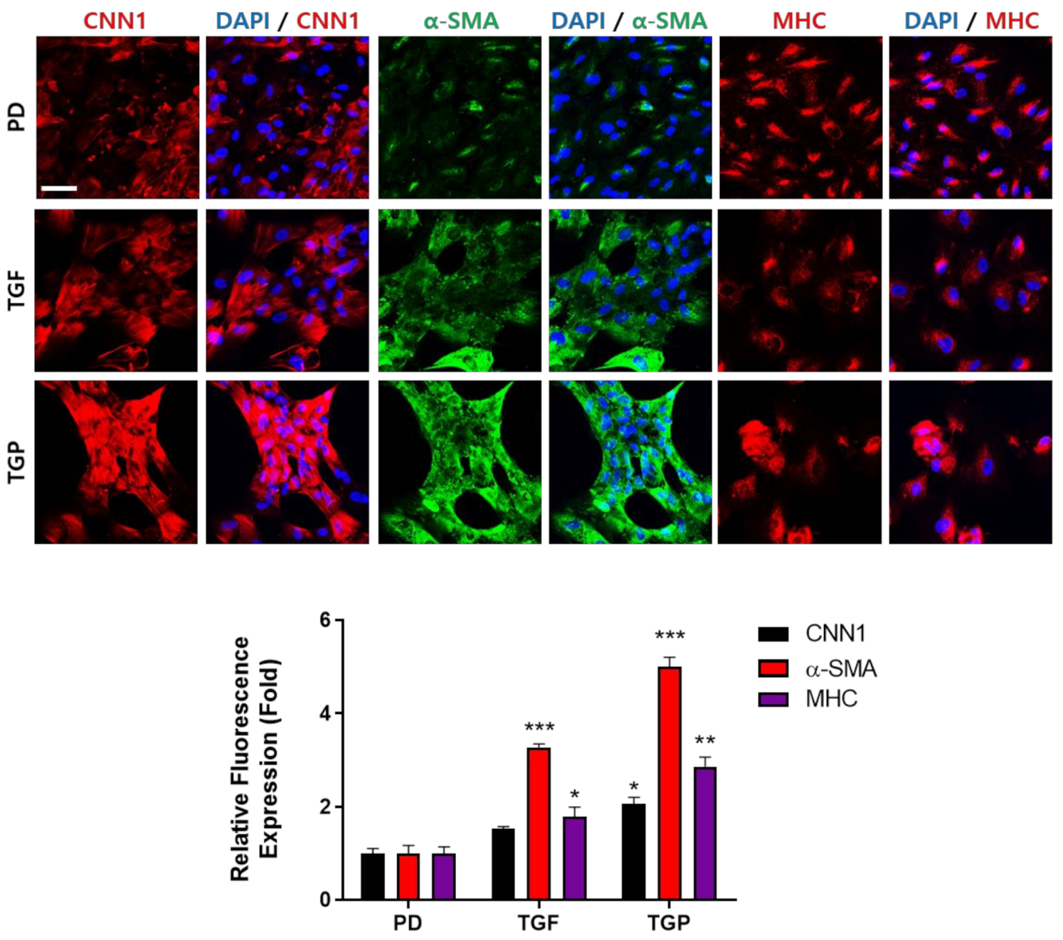 Ijms 22 10532 g005 550