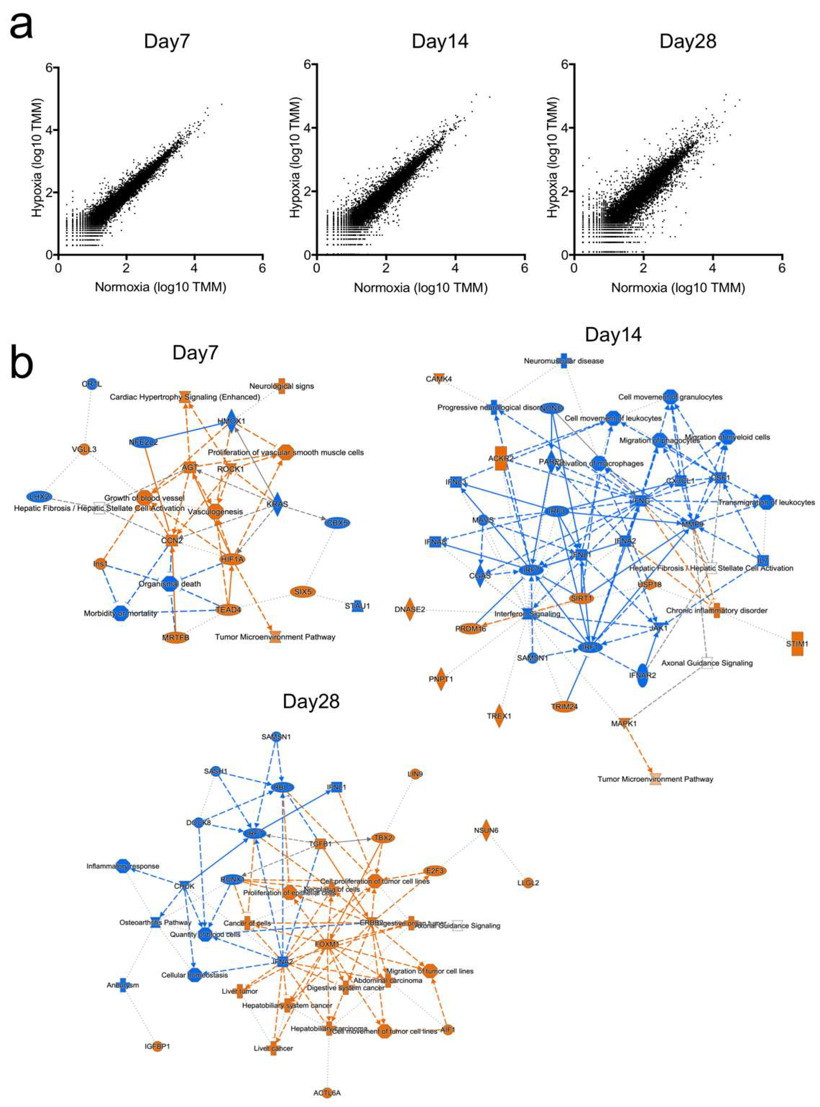 Ijms 22 10534 g002 550