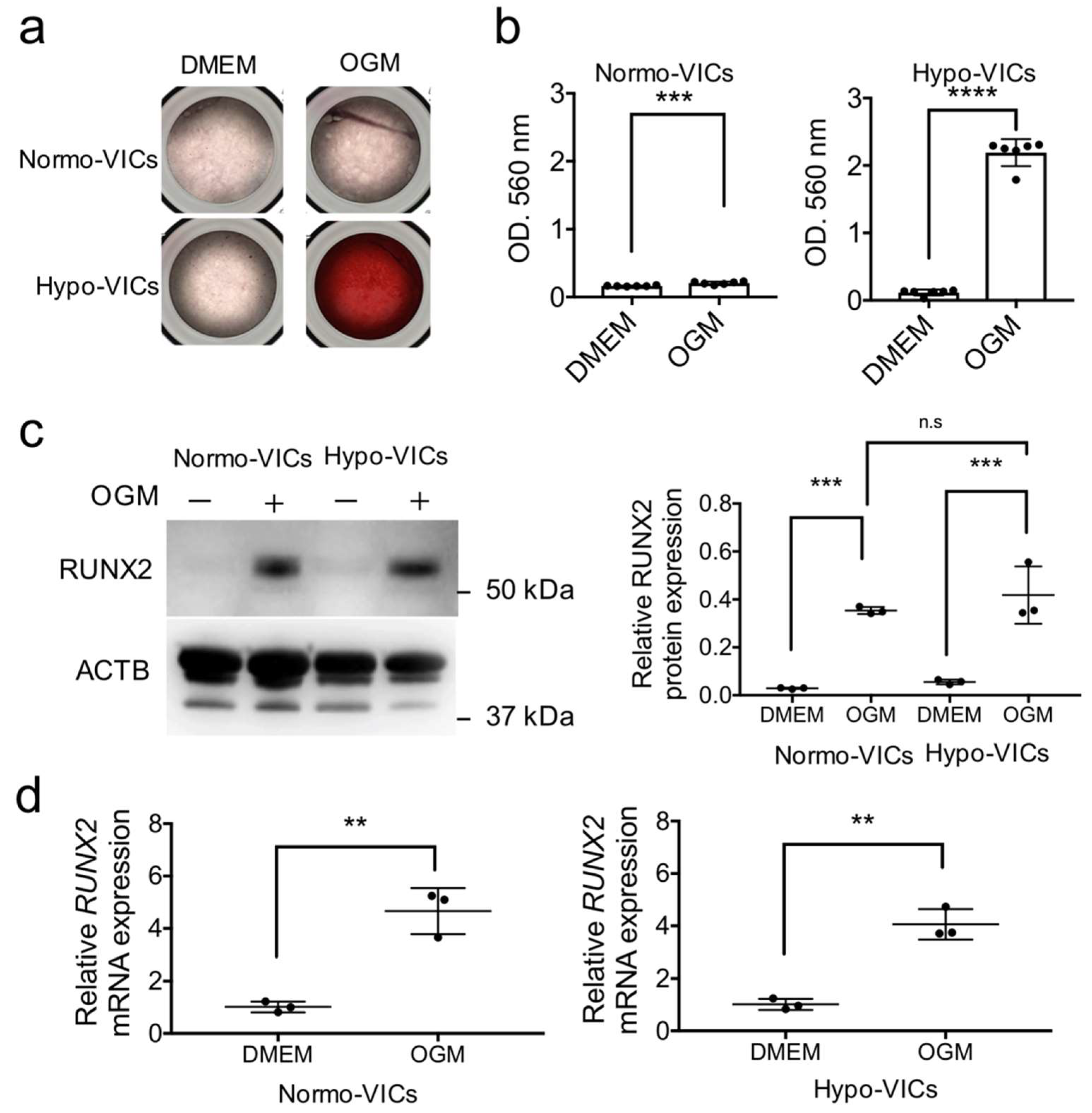 Ijms 22 10534 g005 550