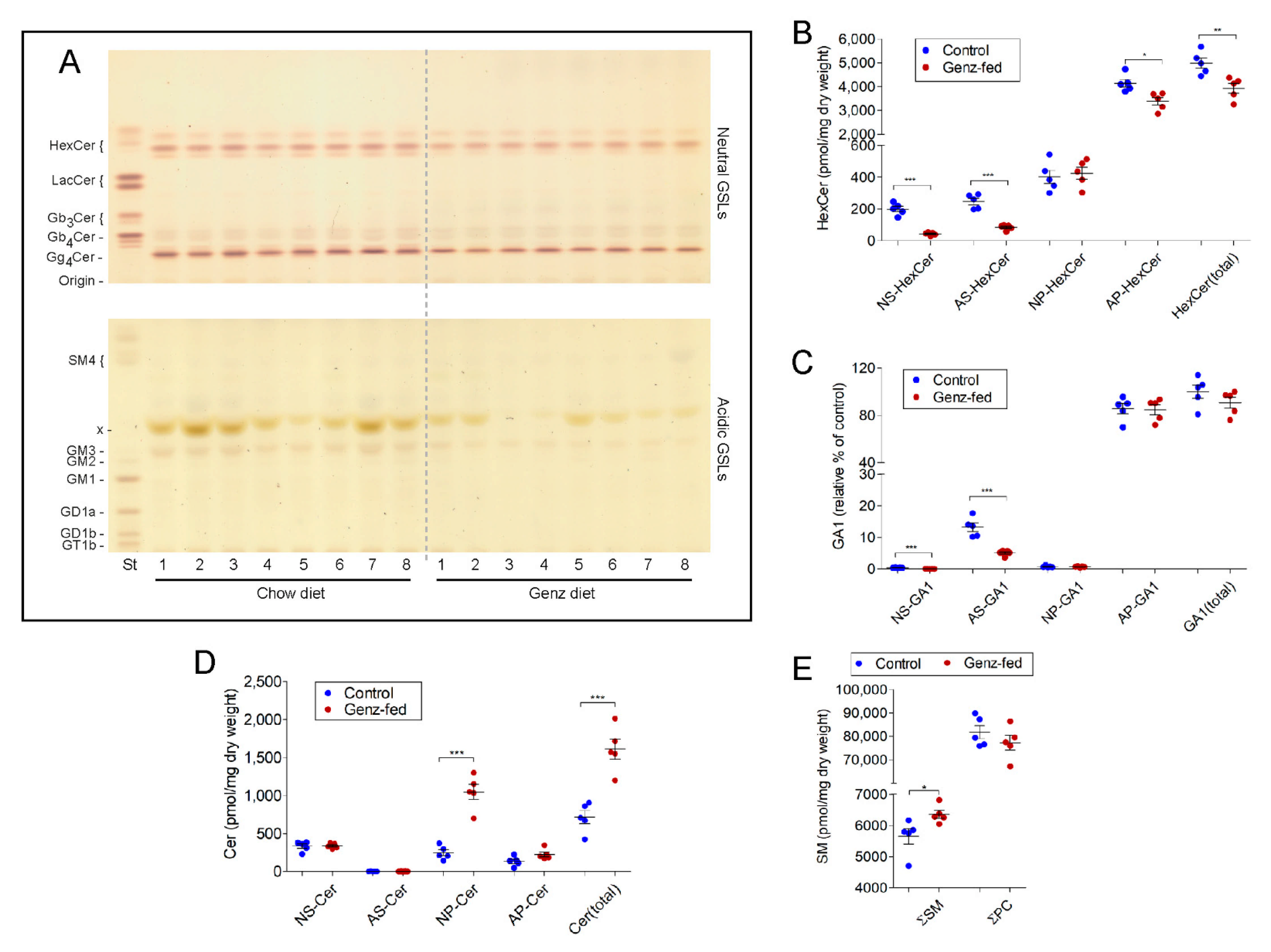 Ijms 22 10539 g009 Ijms 22 10539 g009