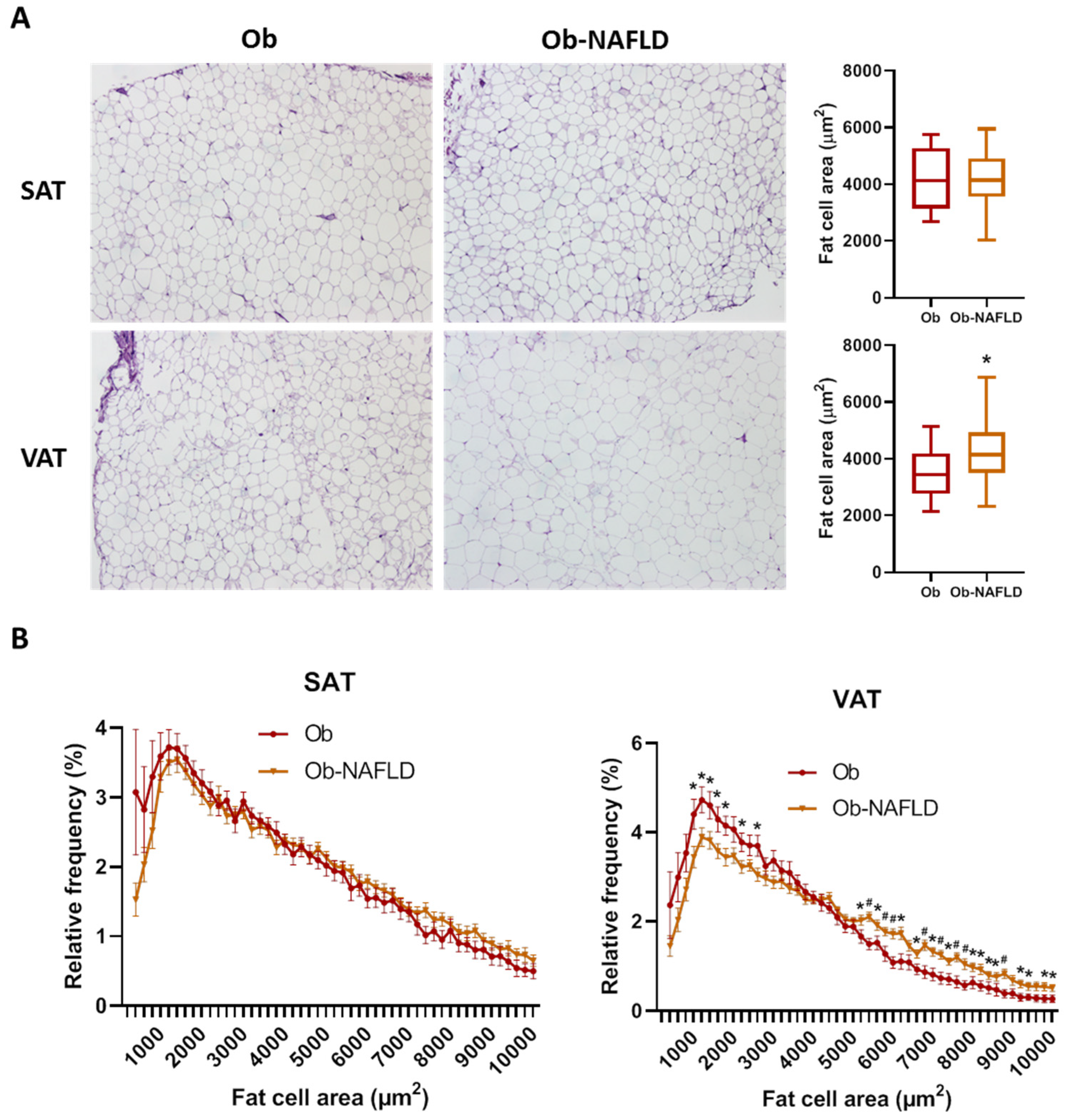 Ijms 22 10541 g001 Ijms 22 10541 g001