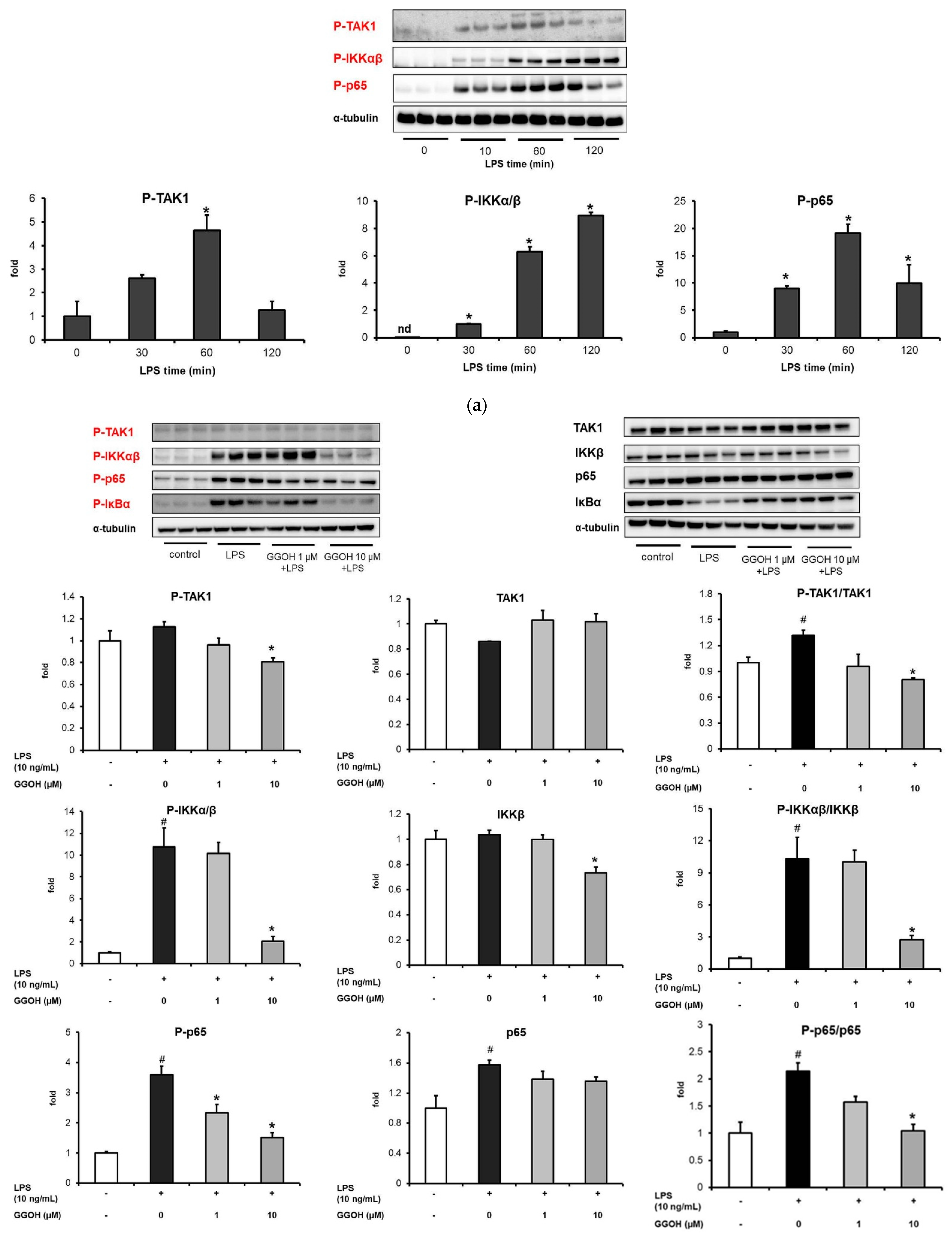 Ijms 22 10543 g003a Ijms 22 10543 g003a