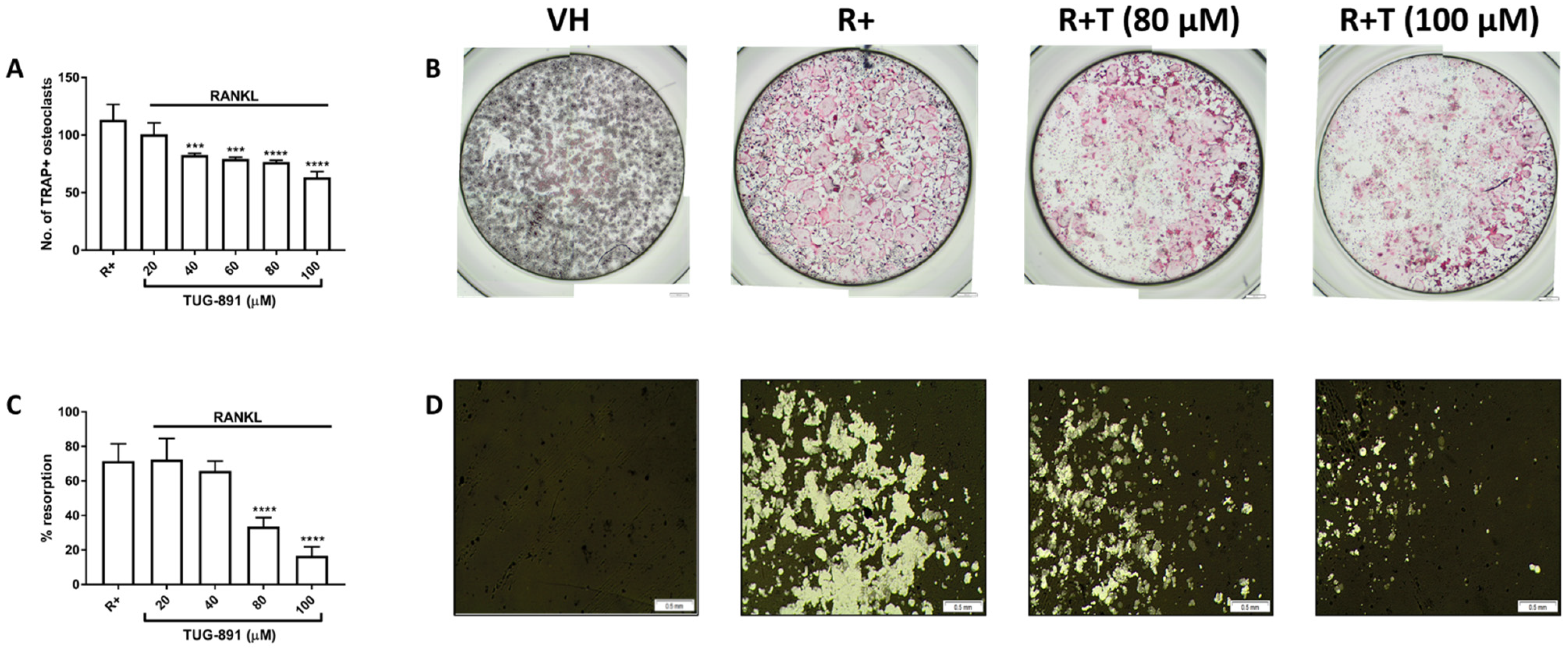 Ijms 22 10544 g002 Ijms 22 10544 g002