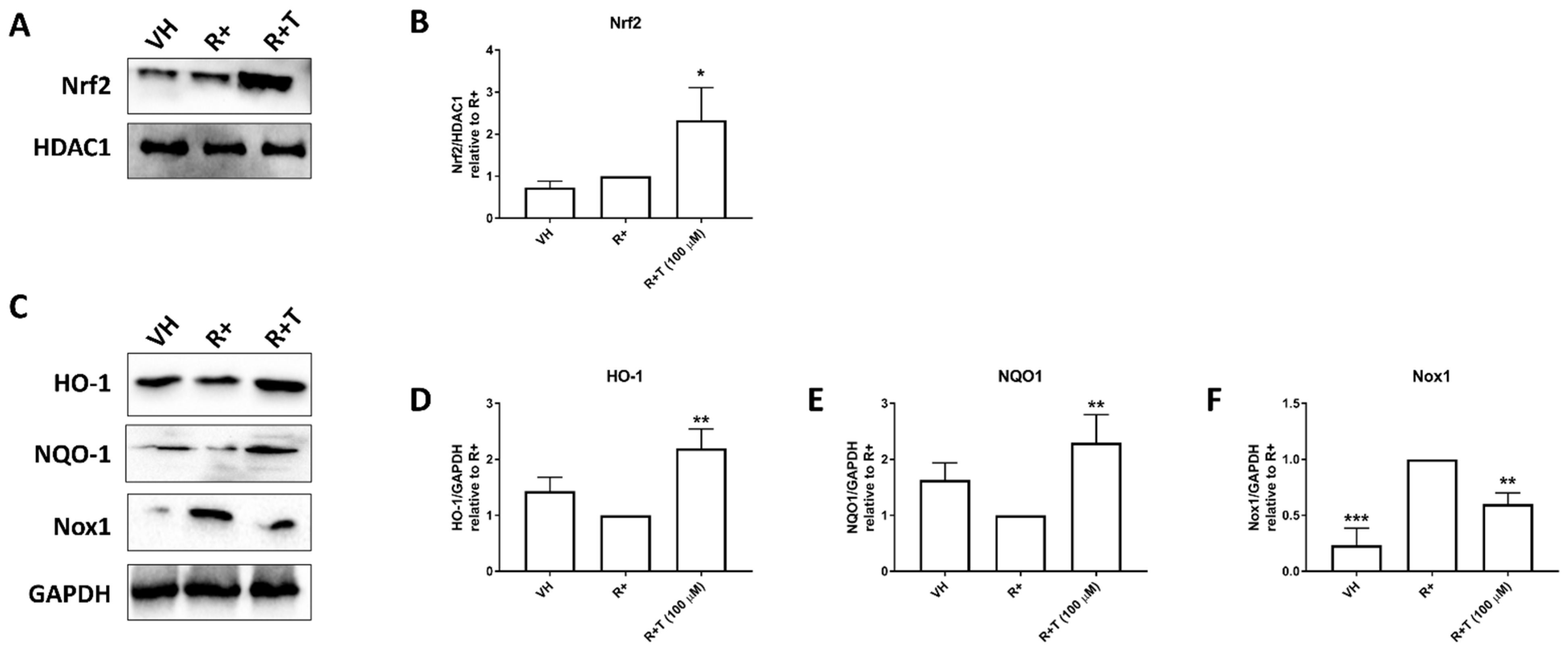 Ijms 22 10544 g003 Ijms 22 10544 g003