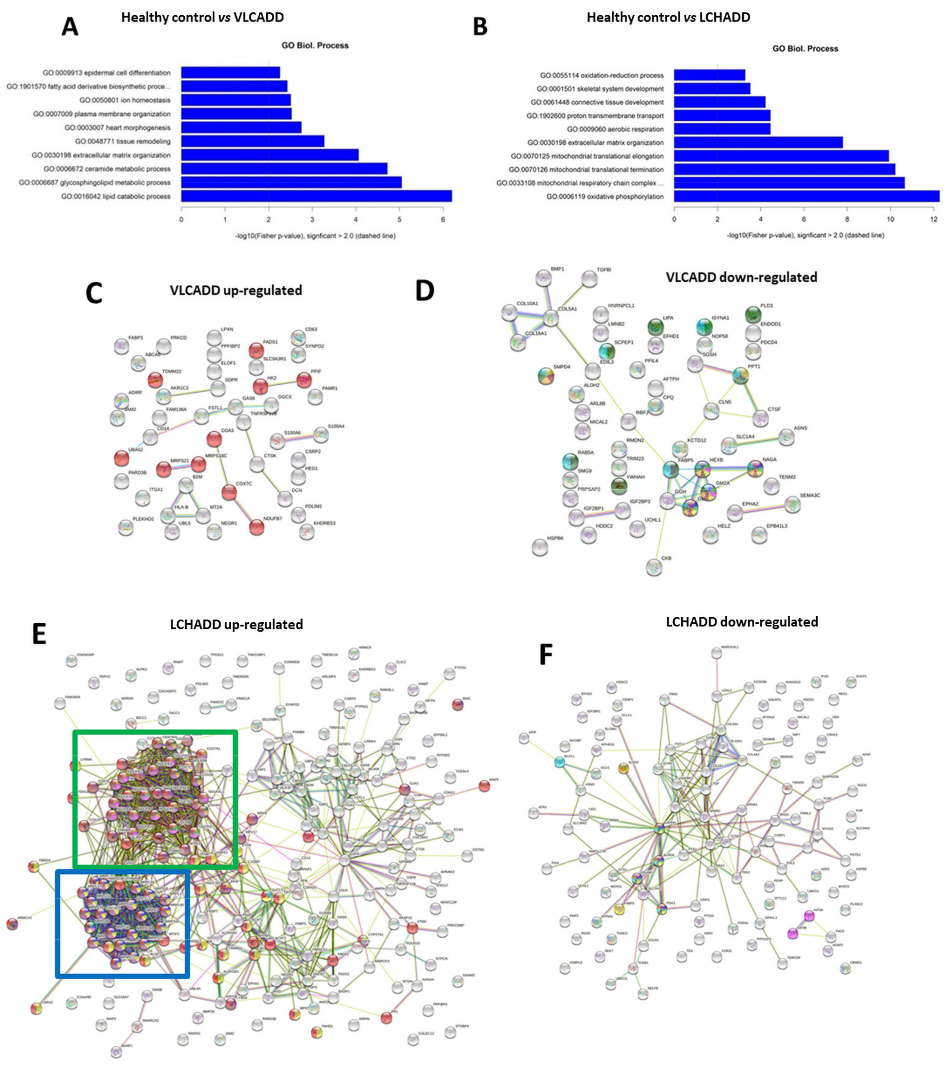Ijms 22 10556 g003 550