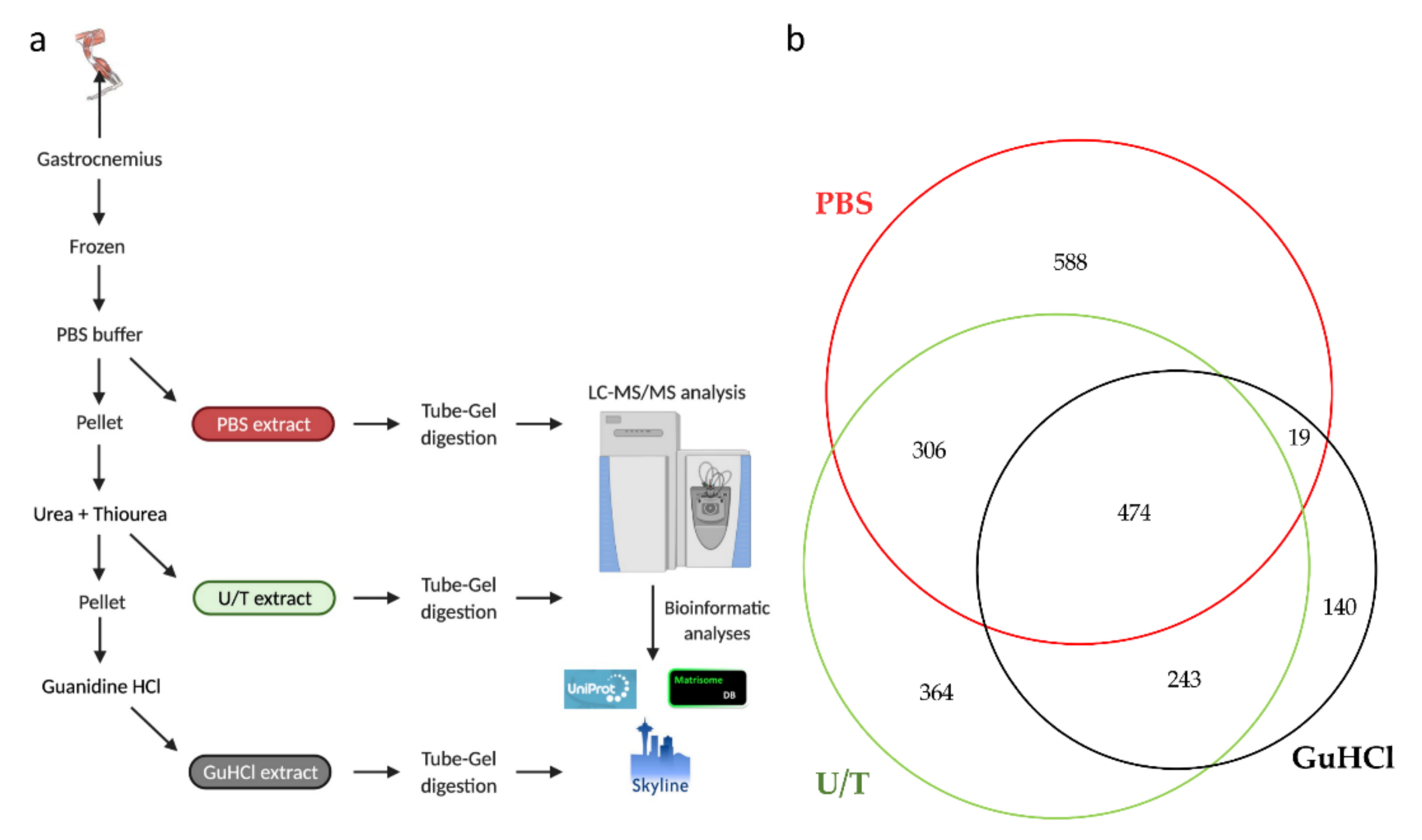 Ijms 22 10564 g001 550