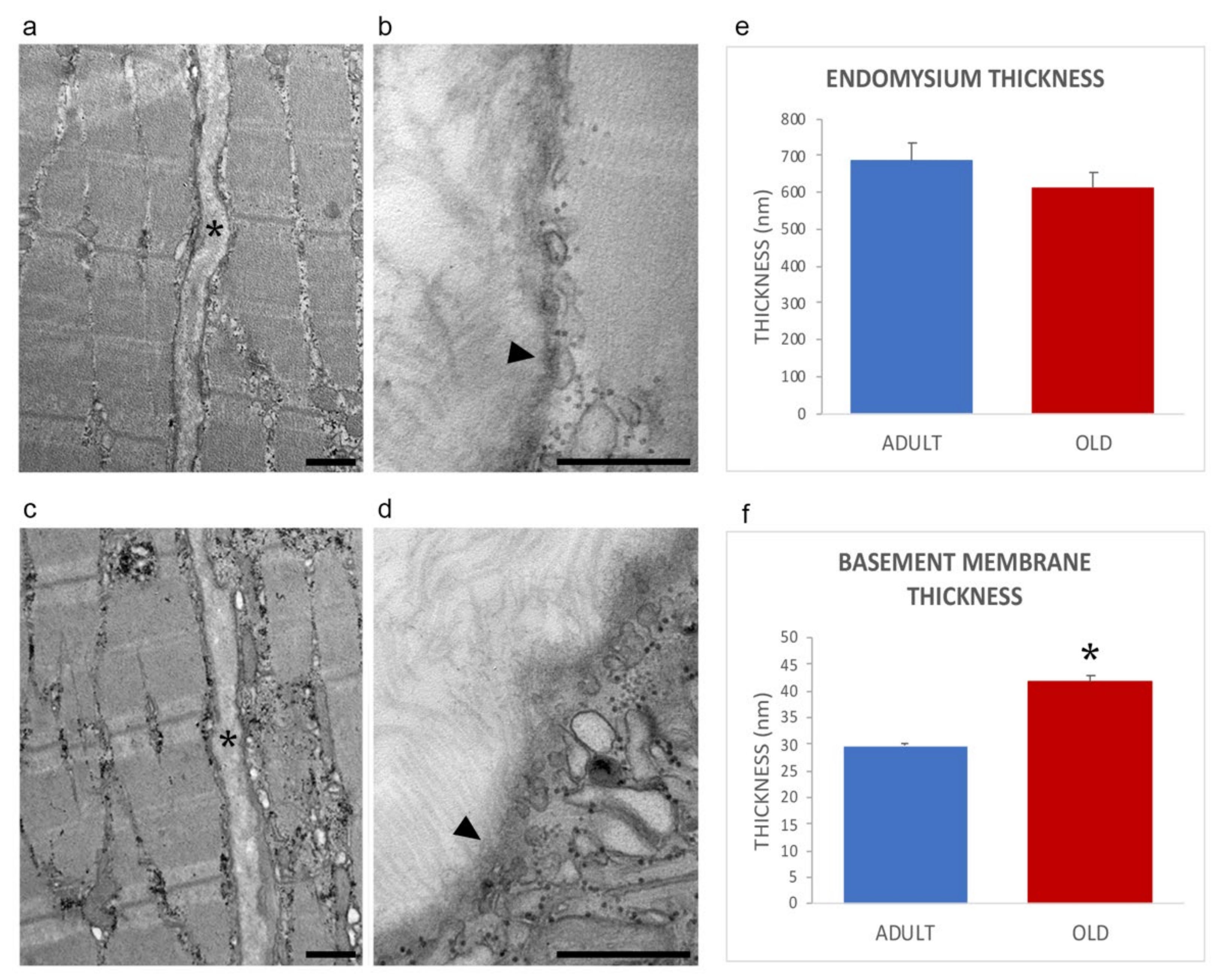 Ijms 22 10564 g002 550