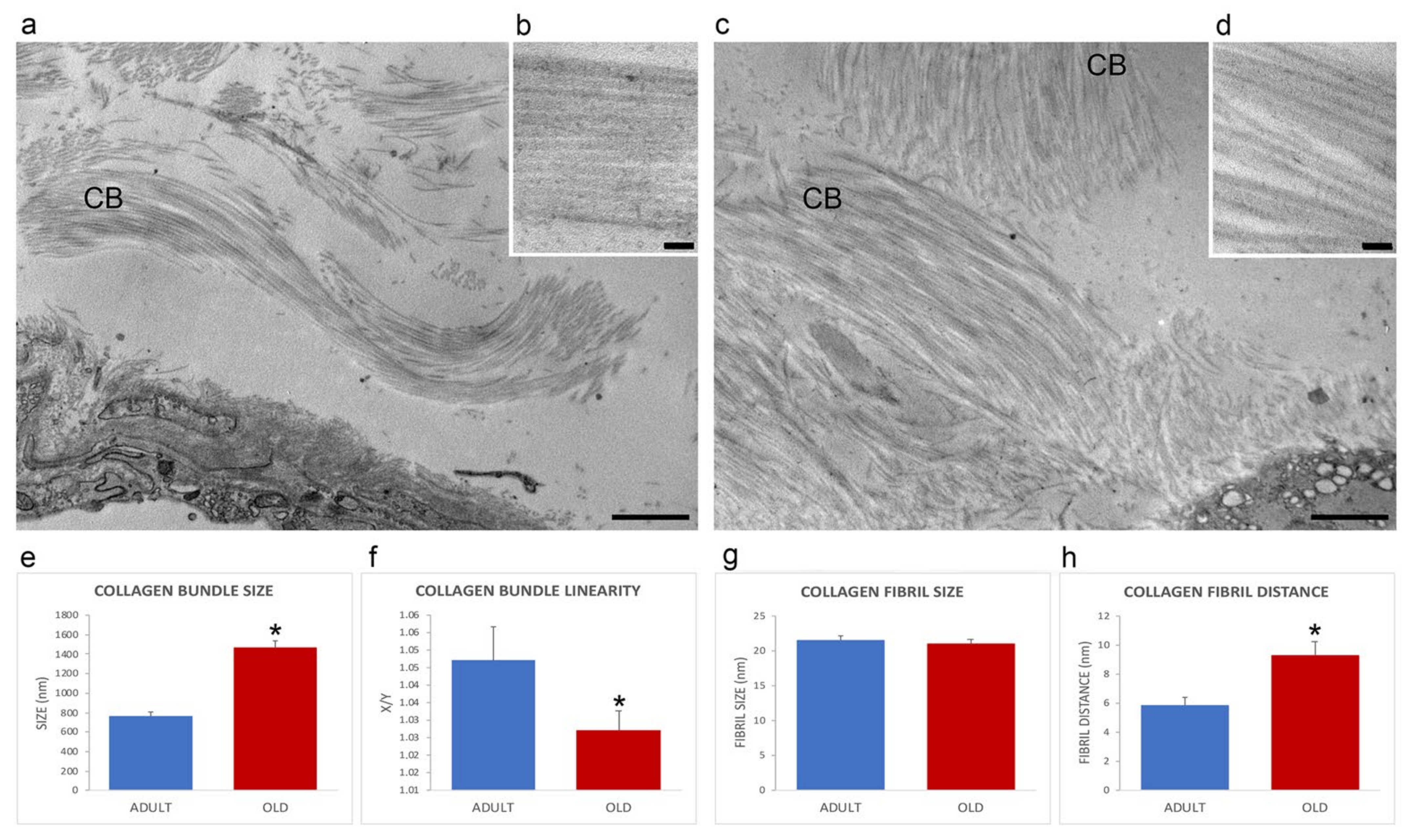 Ijms 22 10564 g003 550