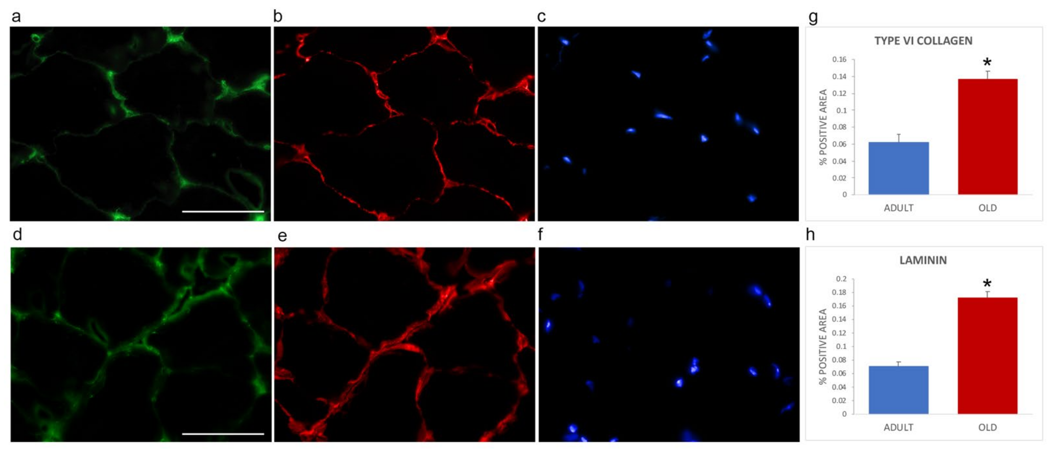 Ijms 22 10564 g004 550