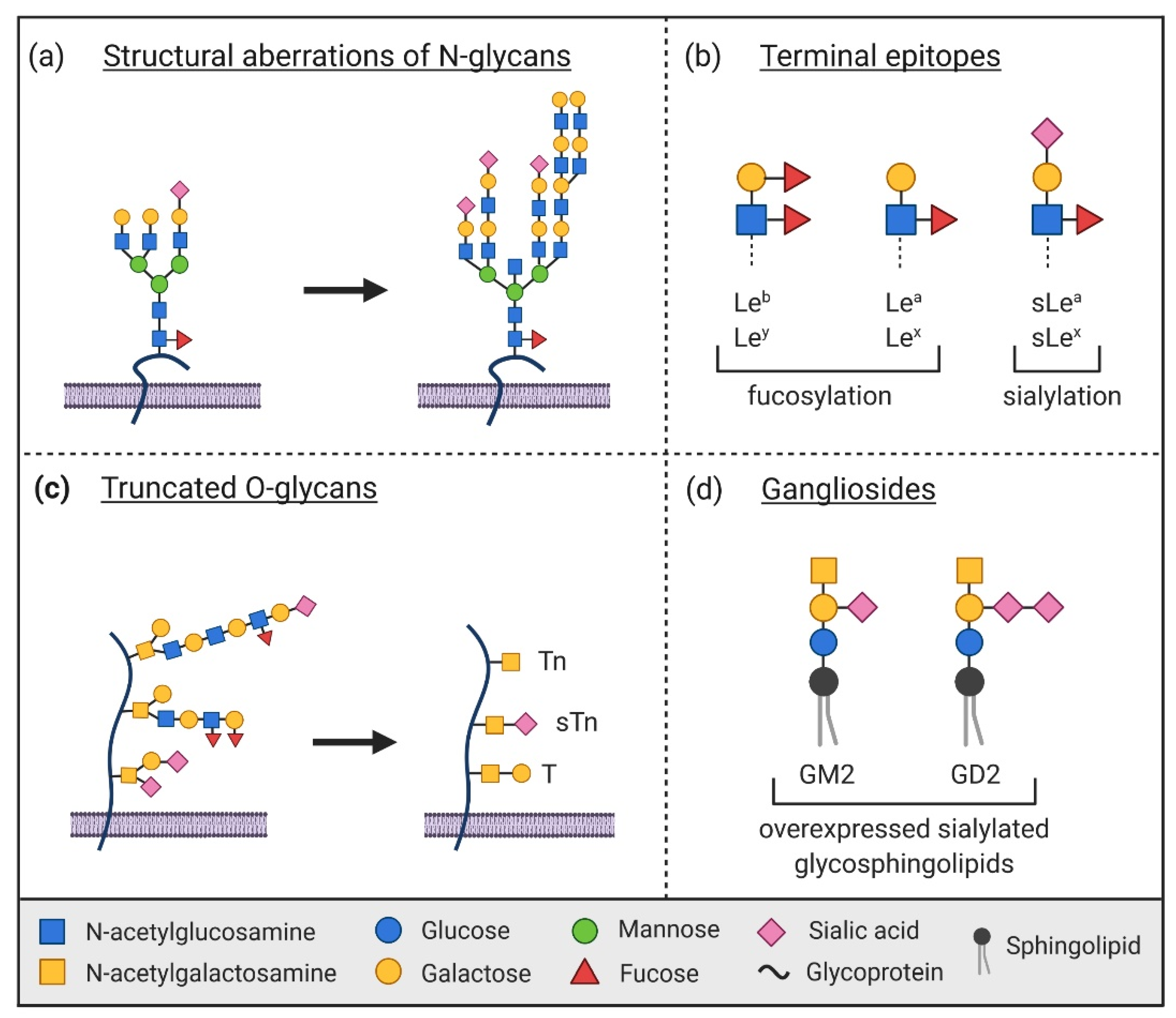Ijms 22 10577 g001 Ijms 22 10577 g001