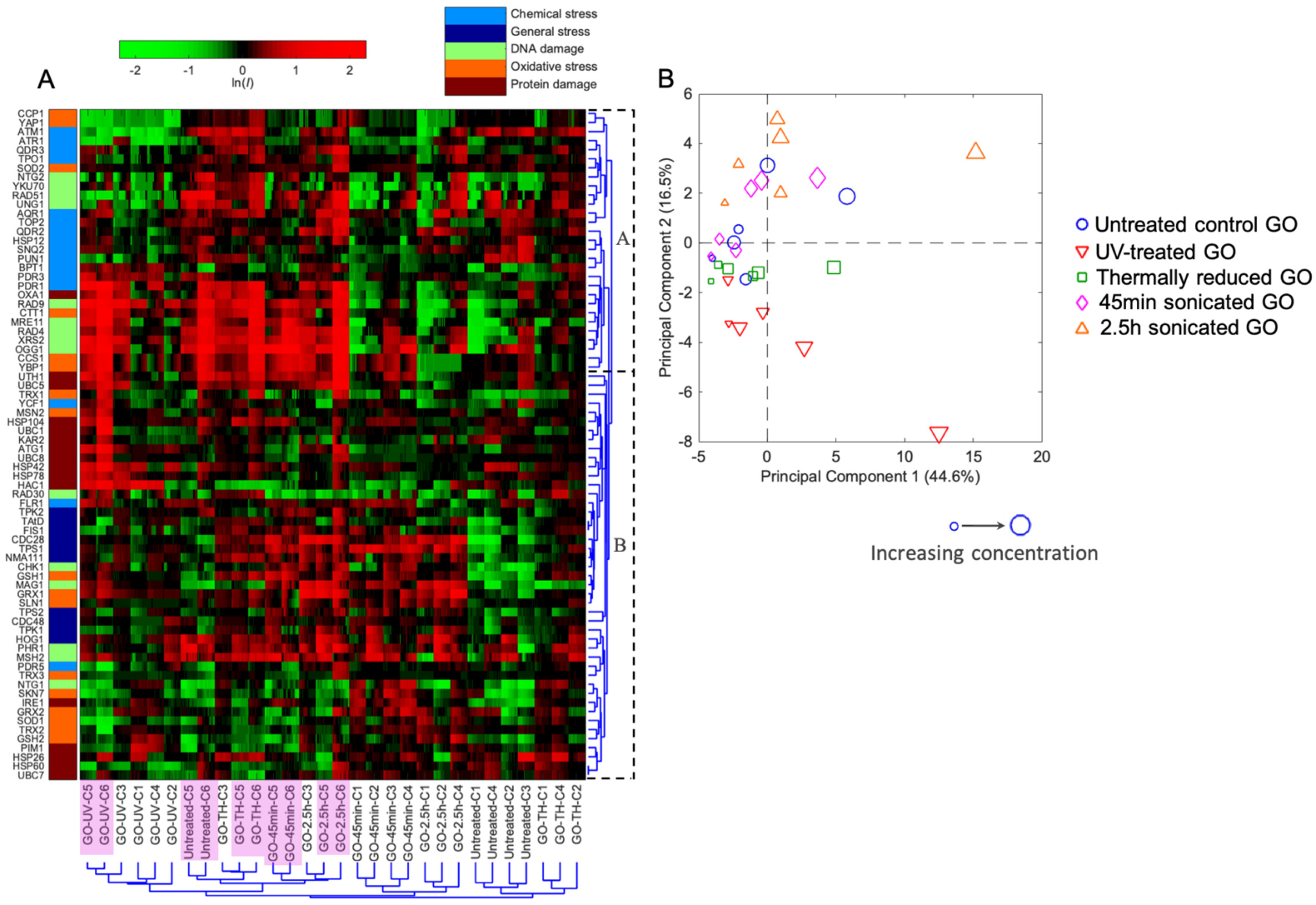 Ijms 22 10578 g002 550