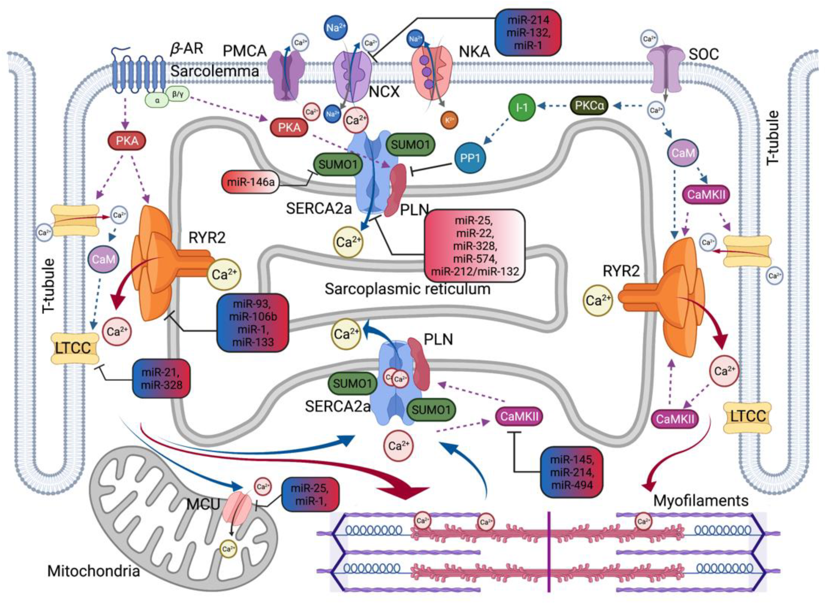 Ijms 22 10582 g002 550
