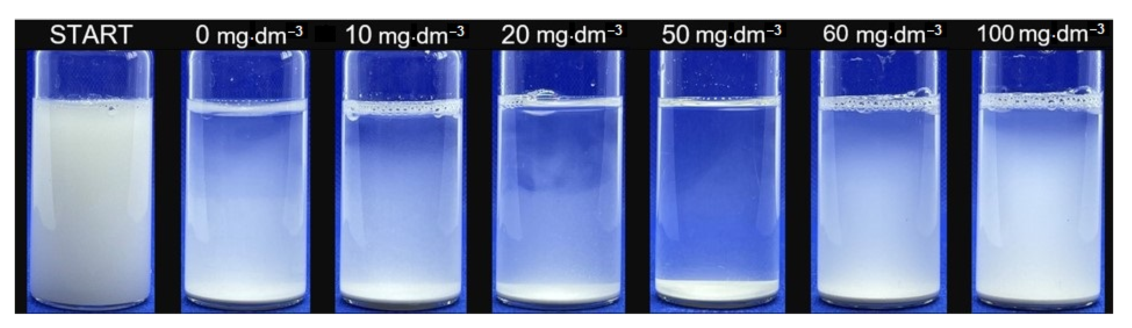 Ijms 22 10591 g007 550