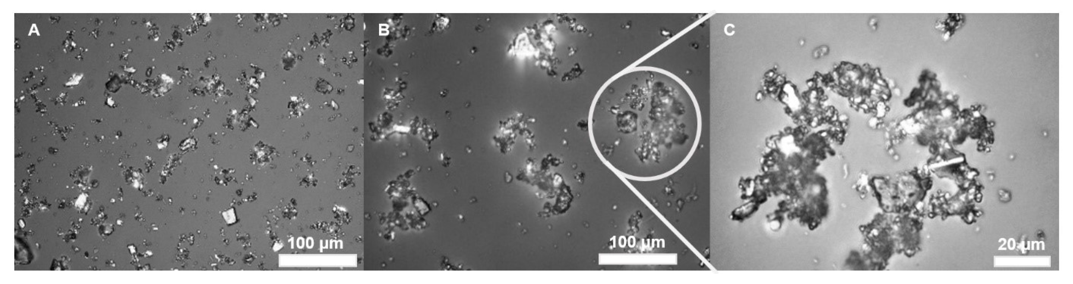 Ijms 22 10591 g008 550