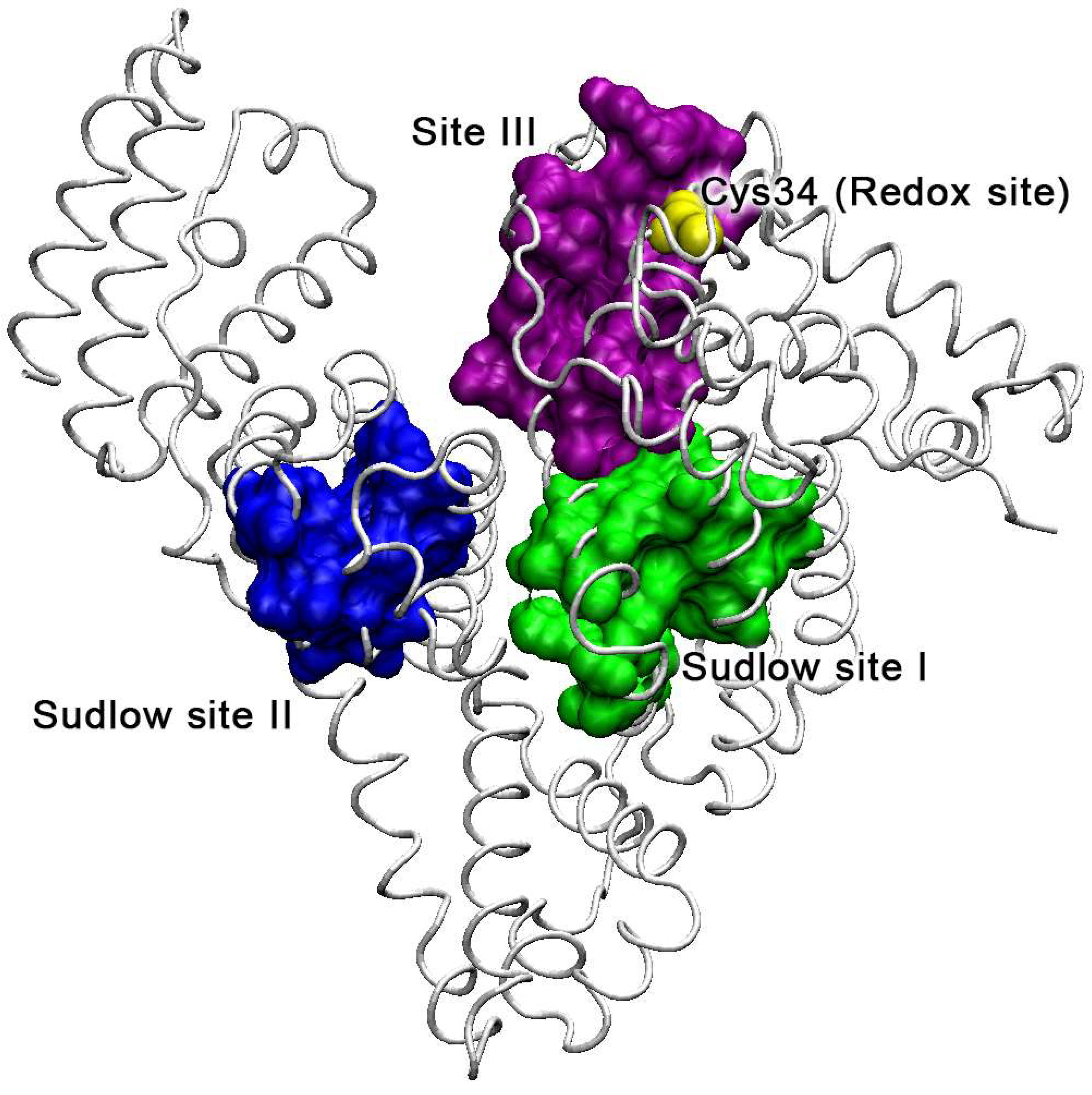 IJMS | Free Full-Text | Esterase Activity of Serum Albumin Studied by 1H  NMR Spectroscopy and Molecular Modelling
