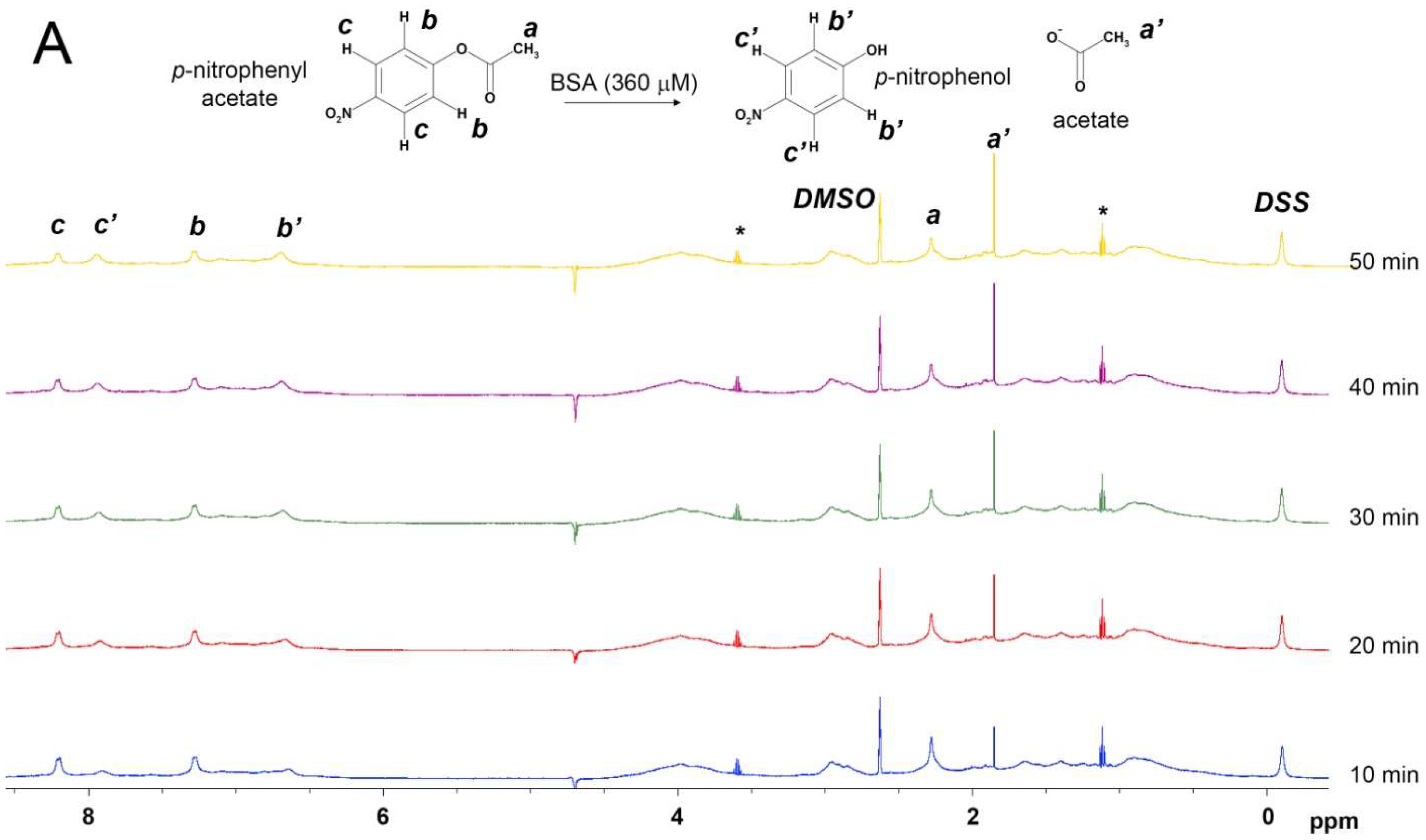 Ijms 22 10593 g002a 550