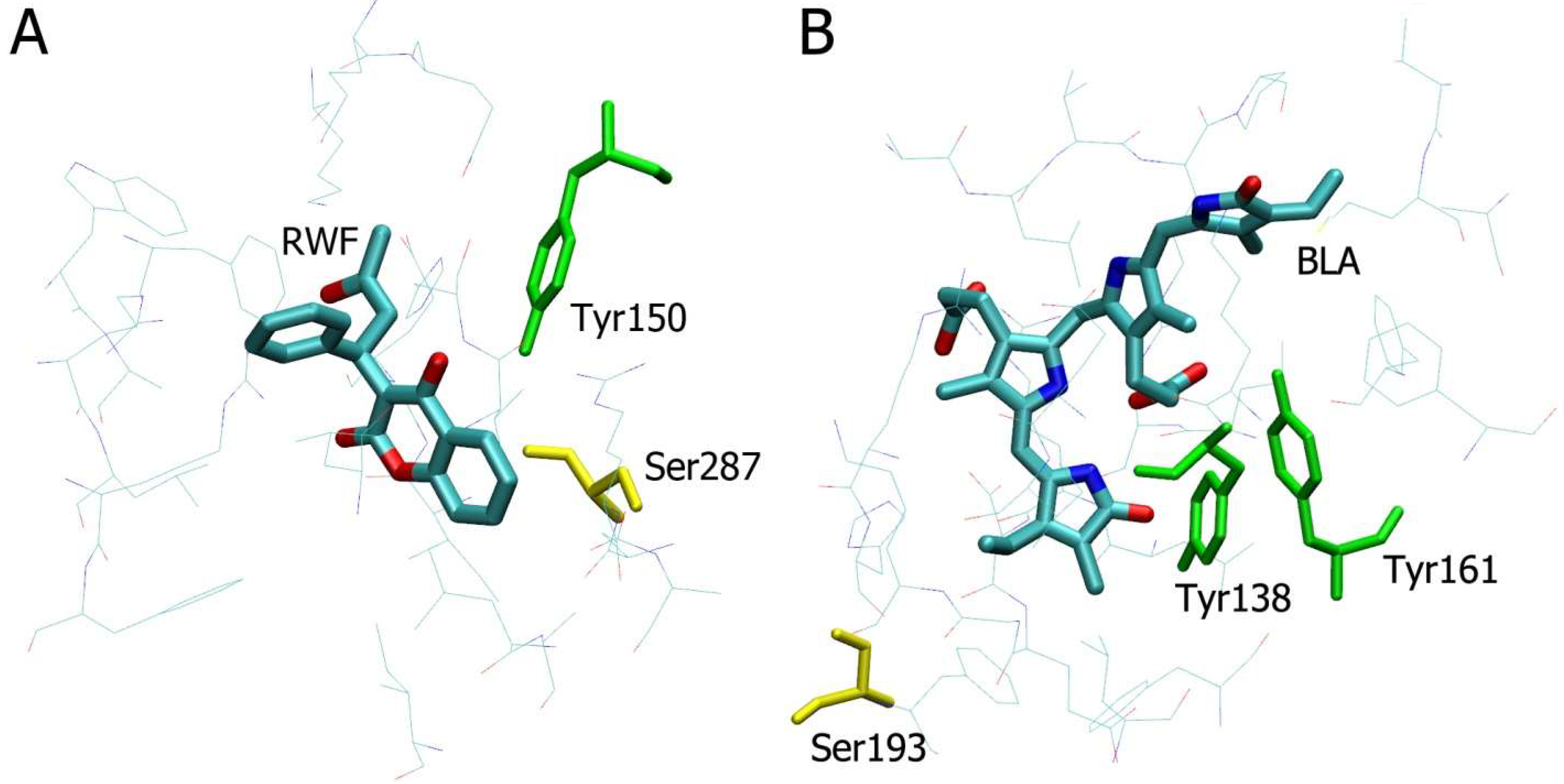 Ijms 22 10593 g004 550