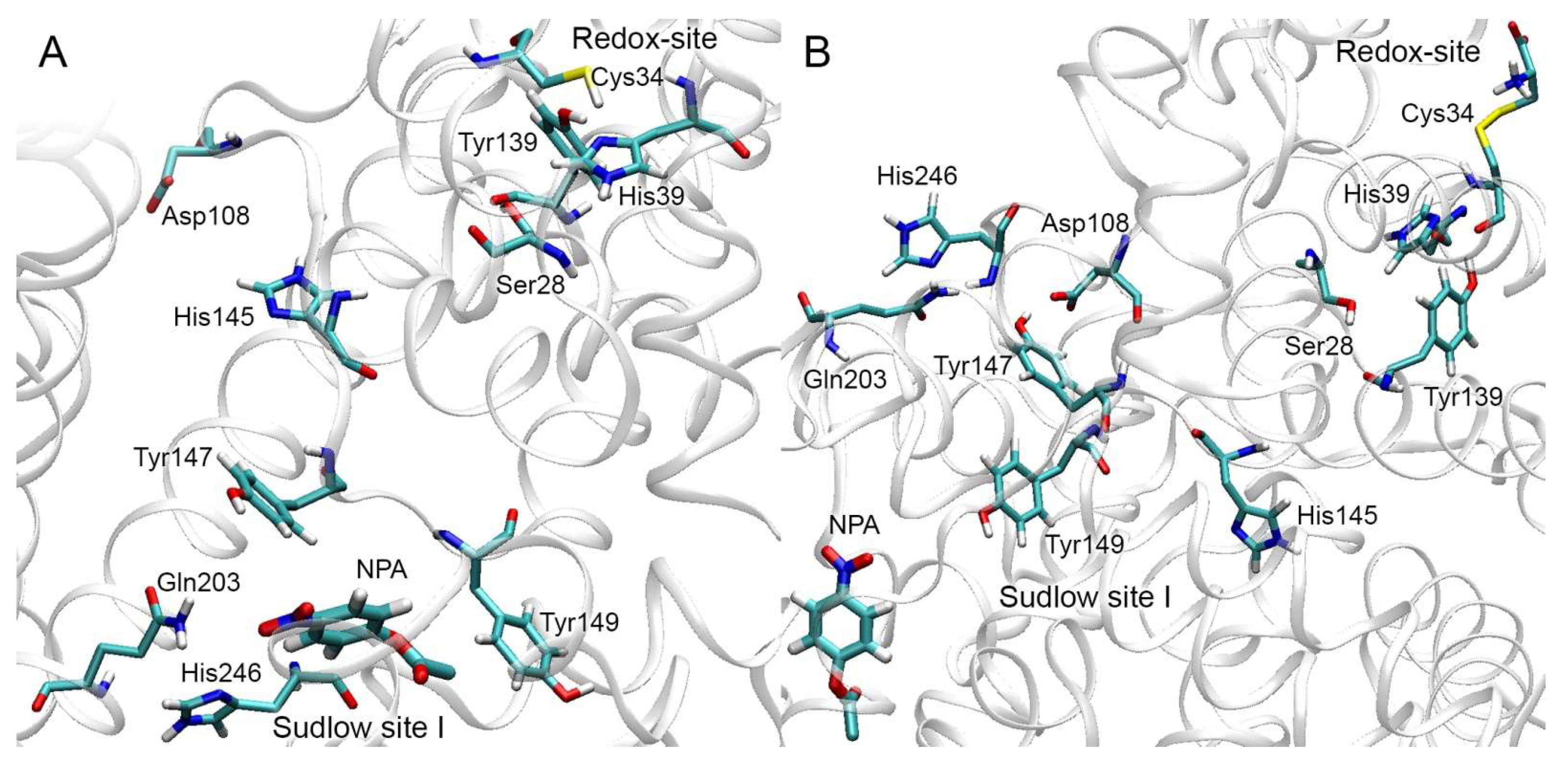Ijms 22 10593 g009 550