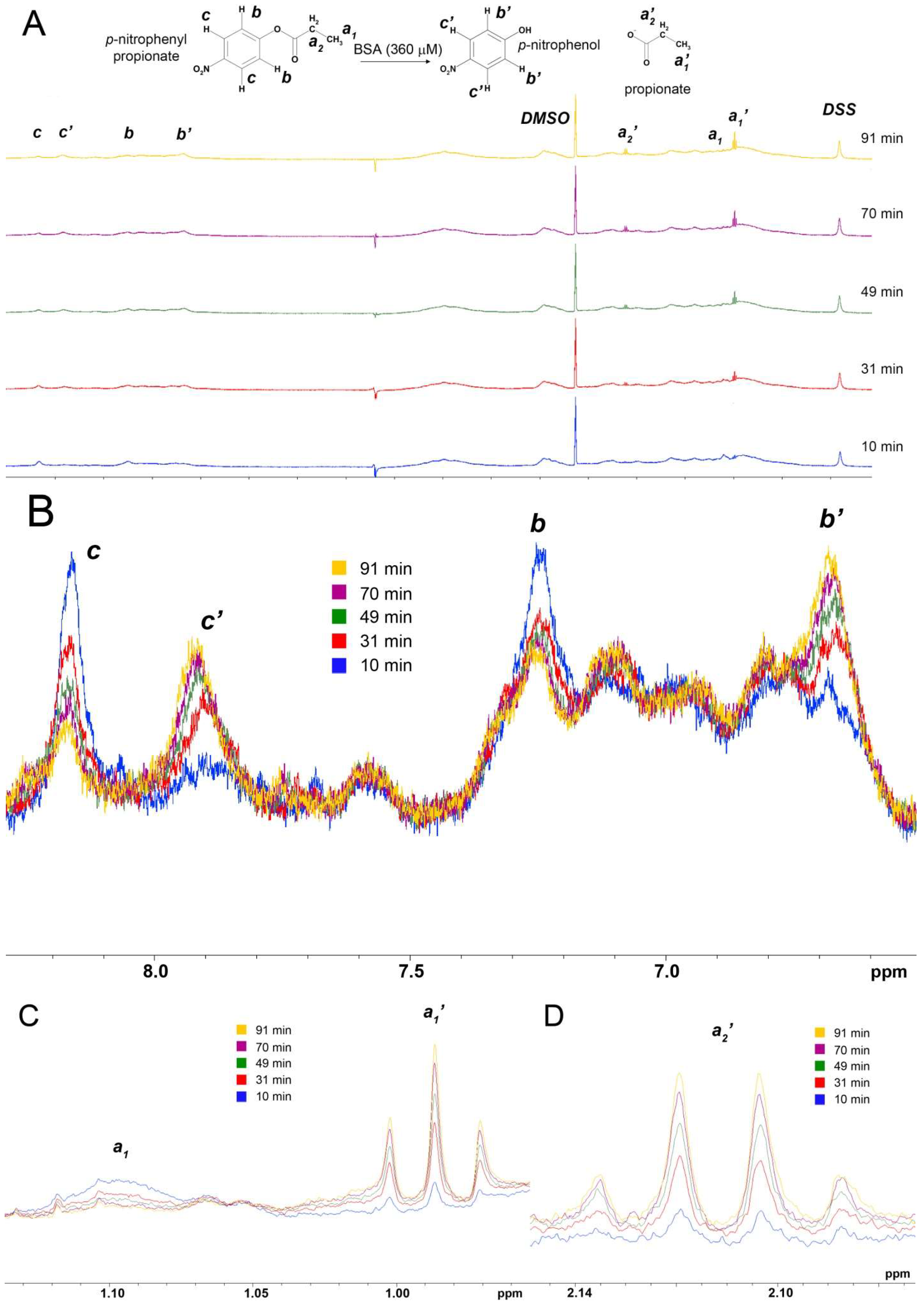 Ijms 22 10593 g010 550