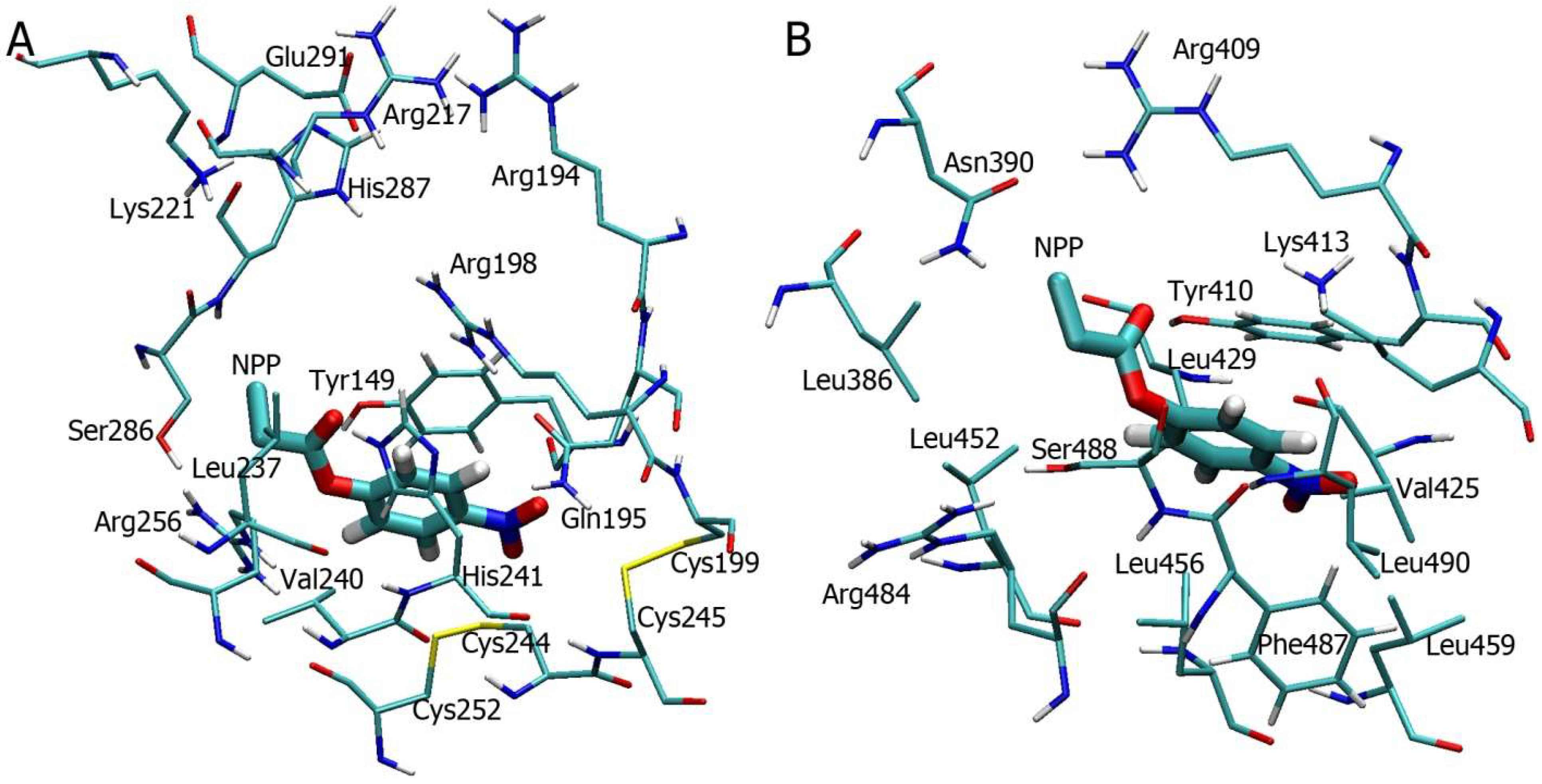 Ijms 22 10593 g011 550