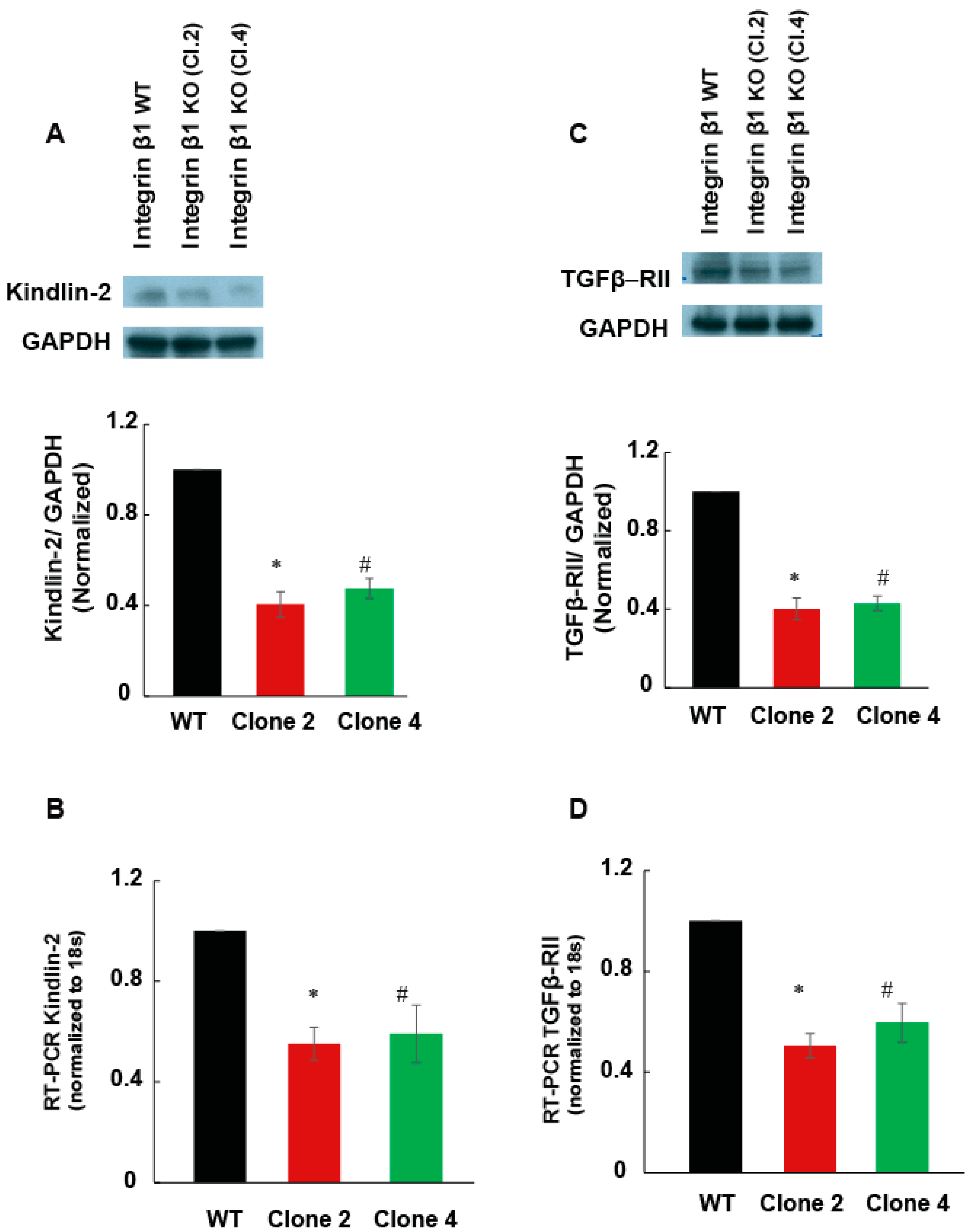 Ijms 22 10599 g006 550