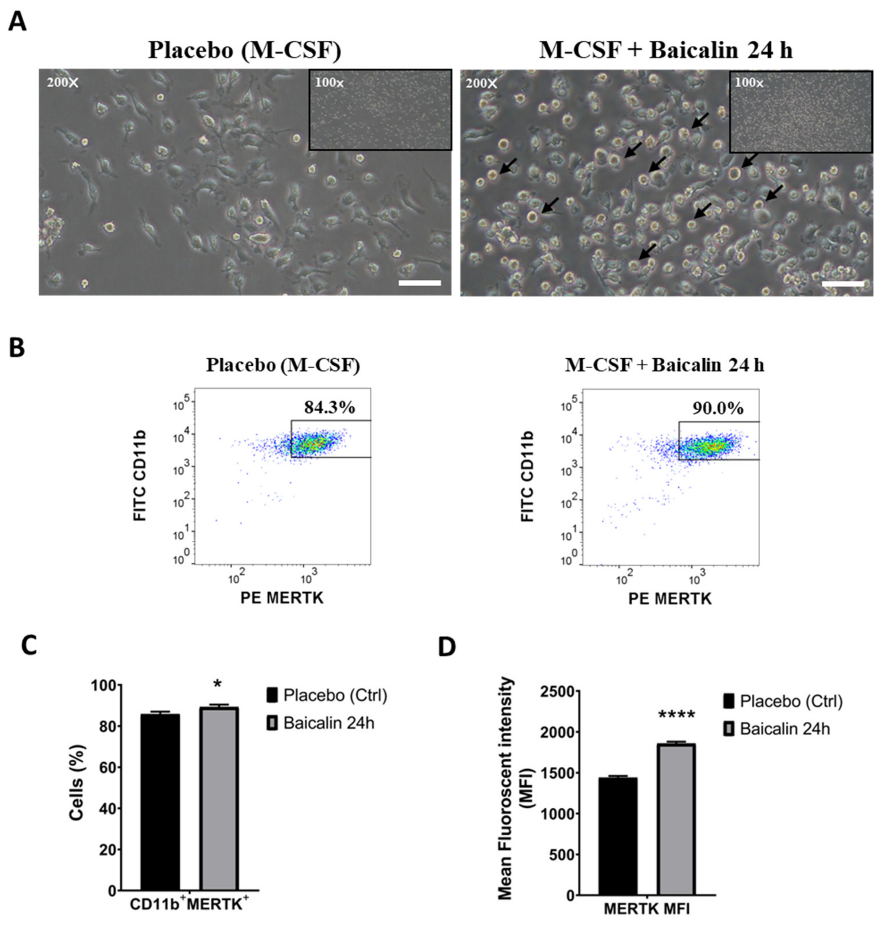 Ijms 22 10604 g001 550