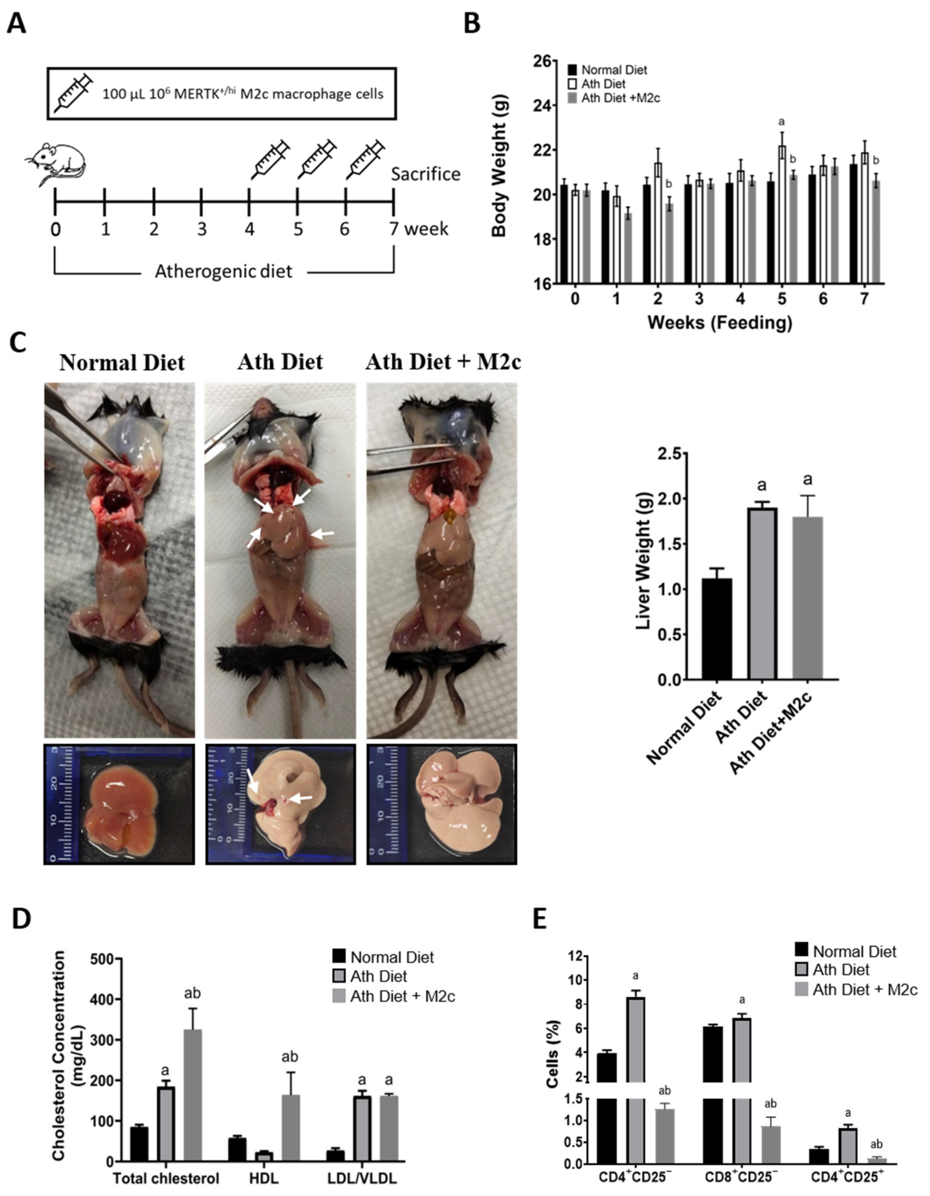 Ijms 22 10604 g002 550