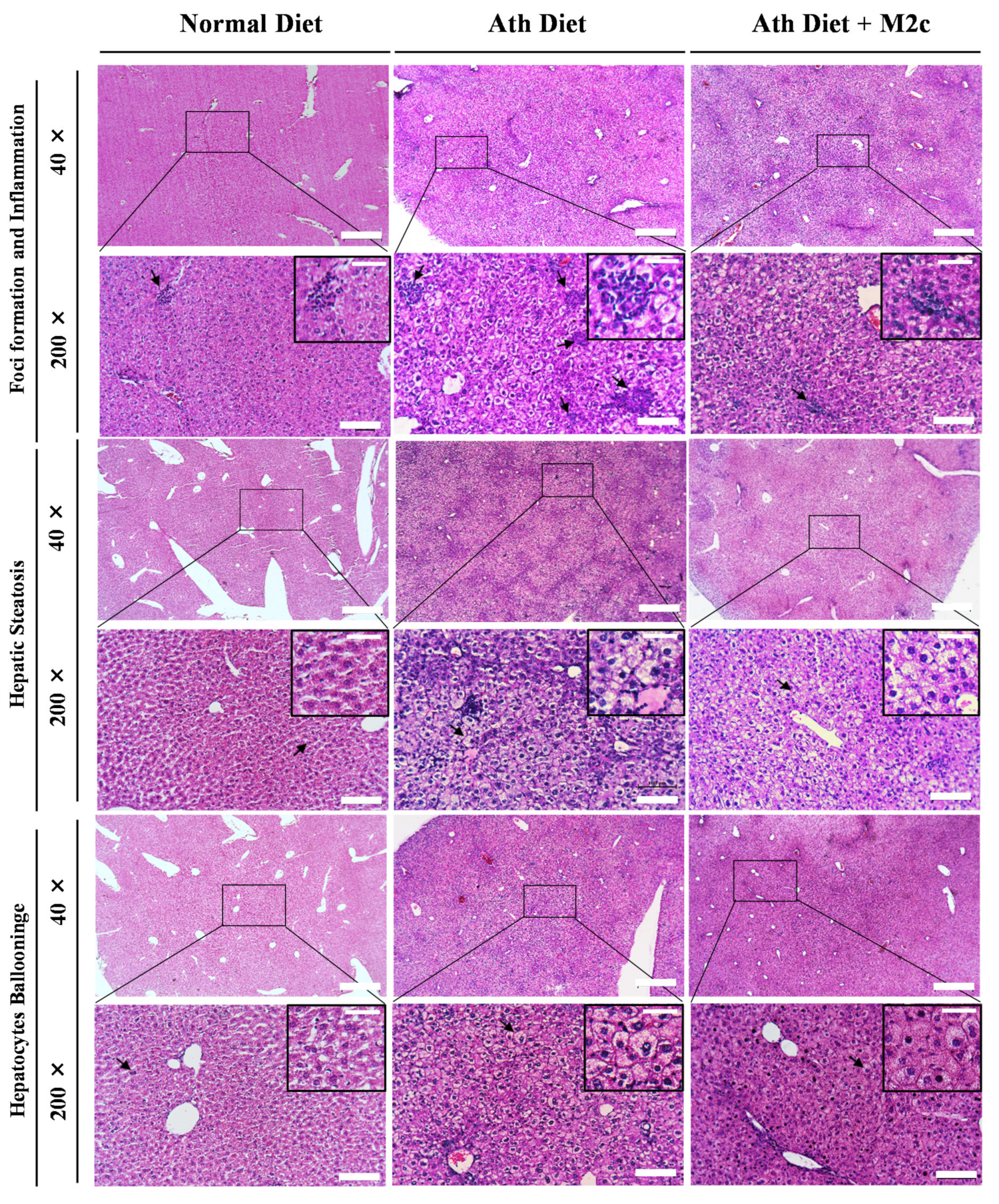 Ijms 22 10604 g003 550