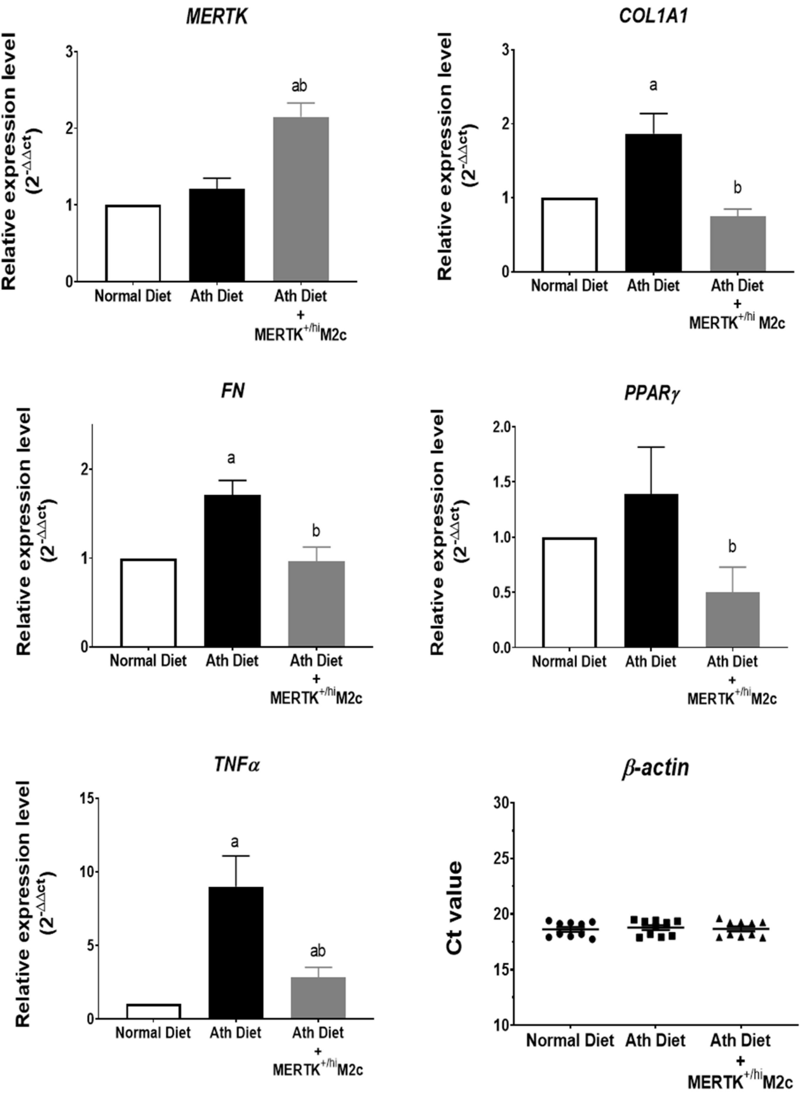 Ijms 22 10604 g005 550