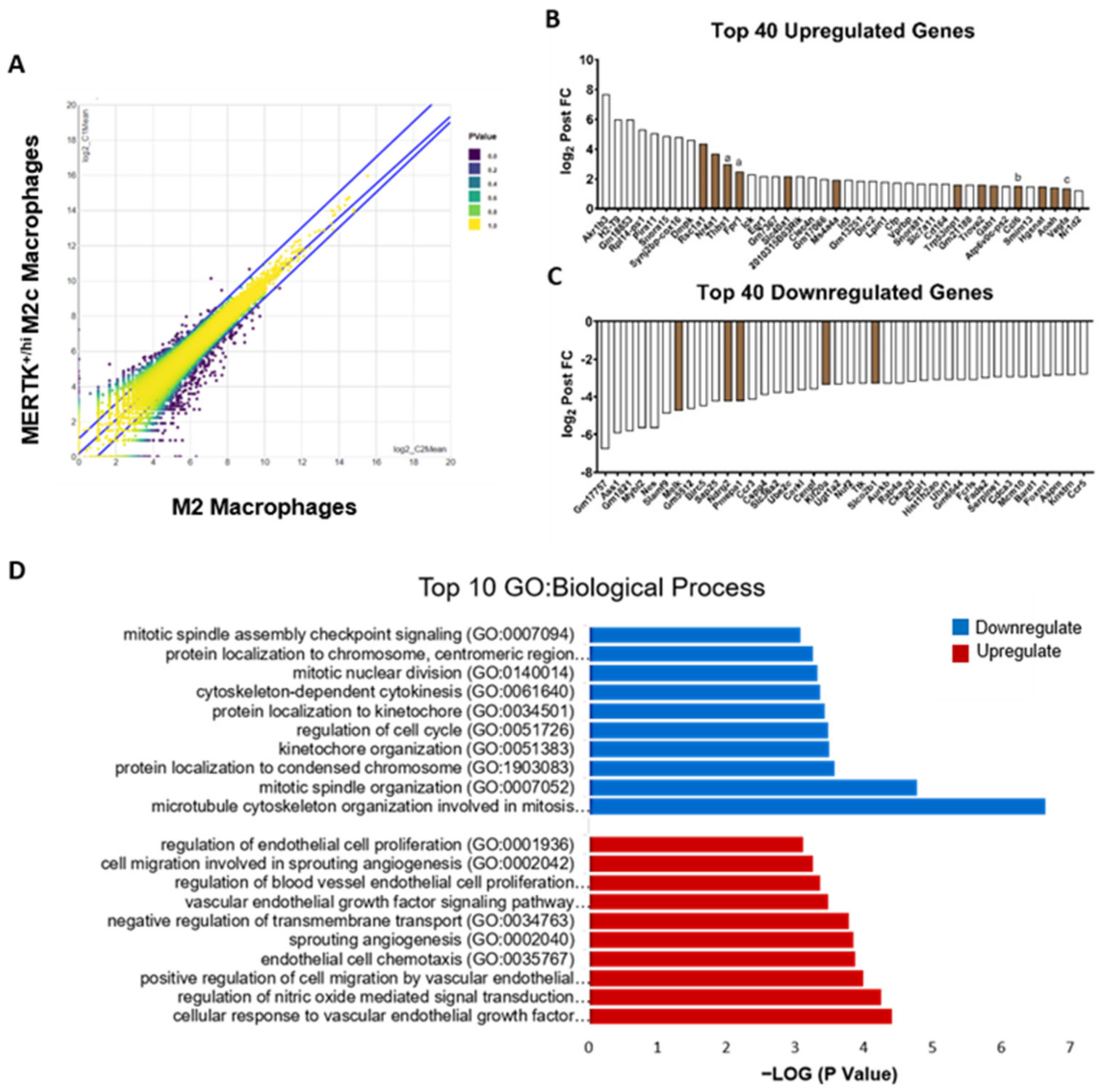 Ijms 22 10604 g006 550