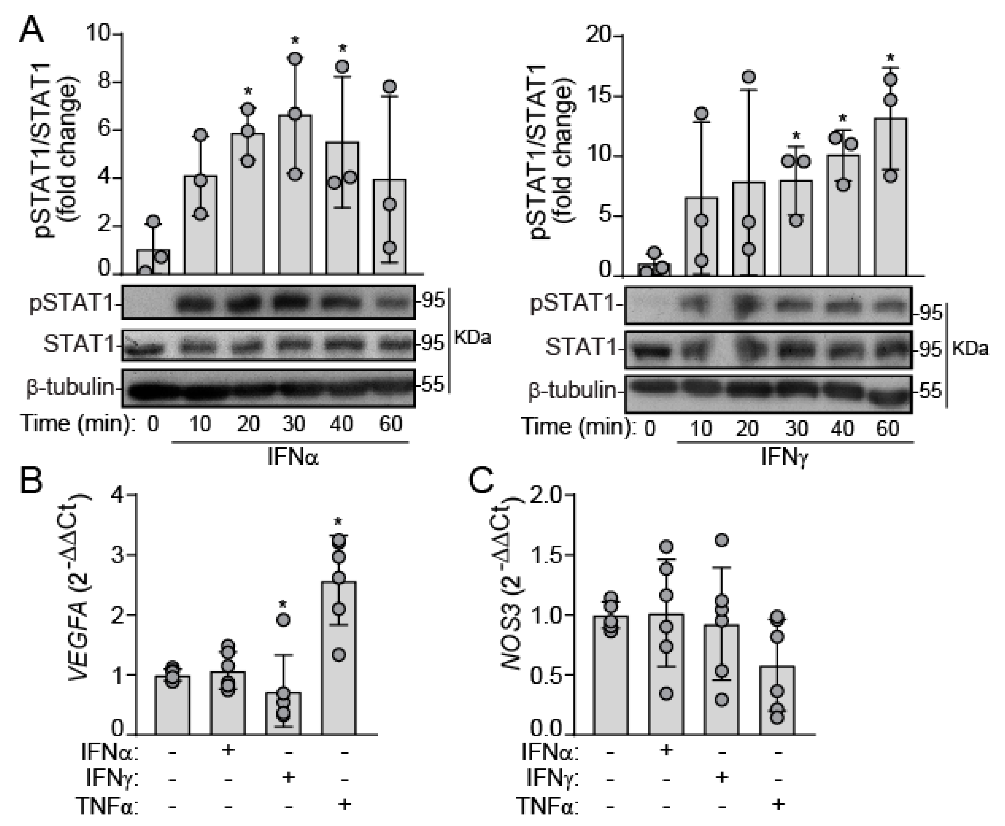 Ijms 22 10605 g001 550
