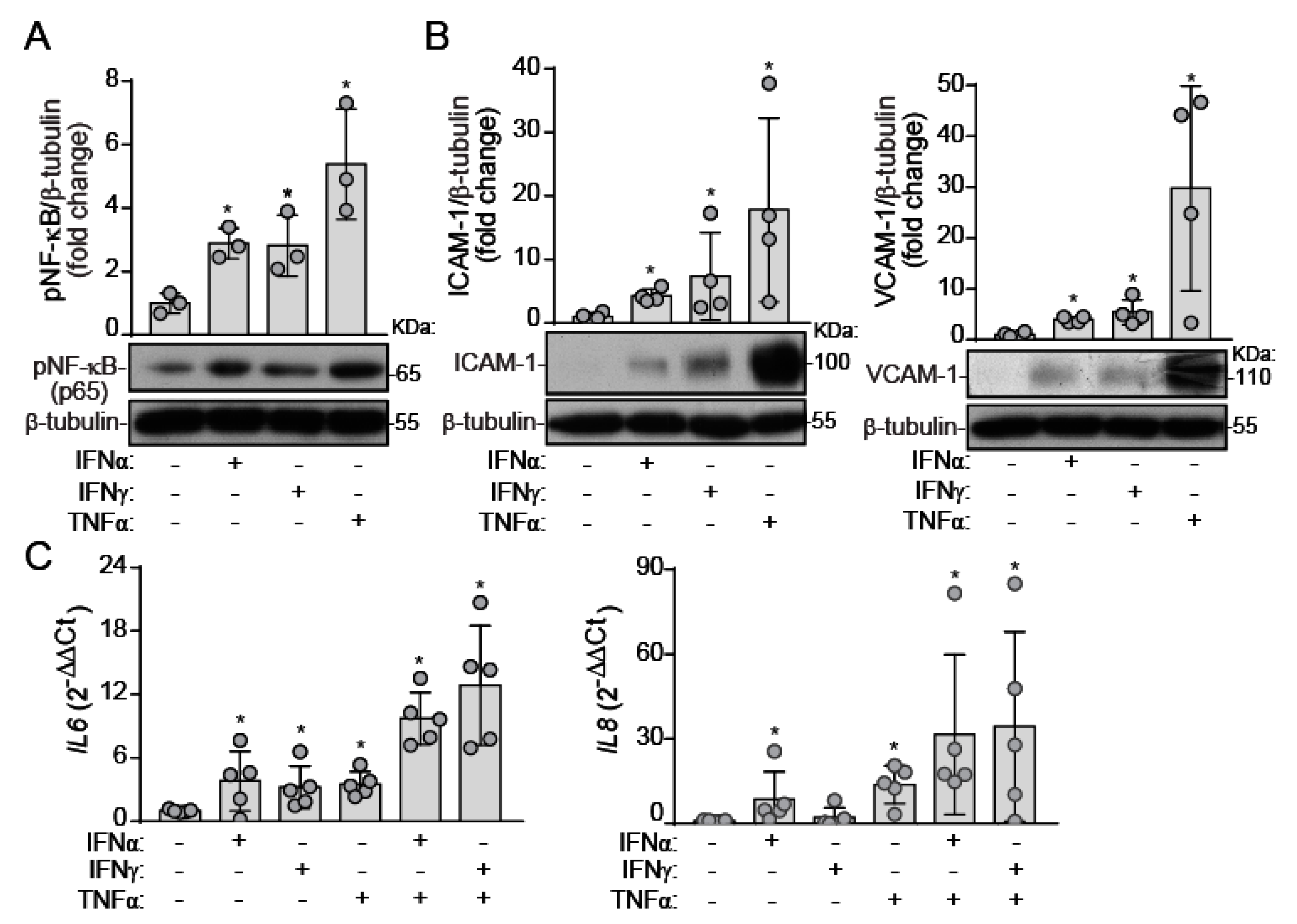 Ijms 22 10605 g002 550