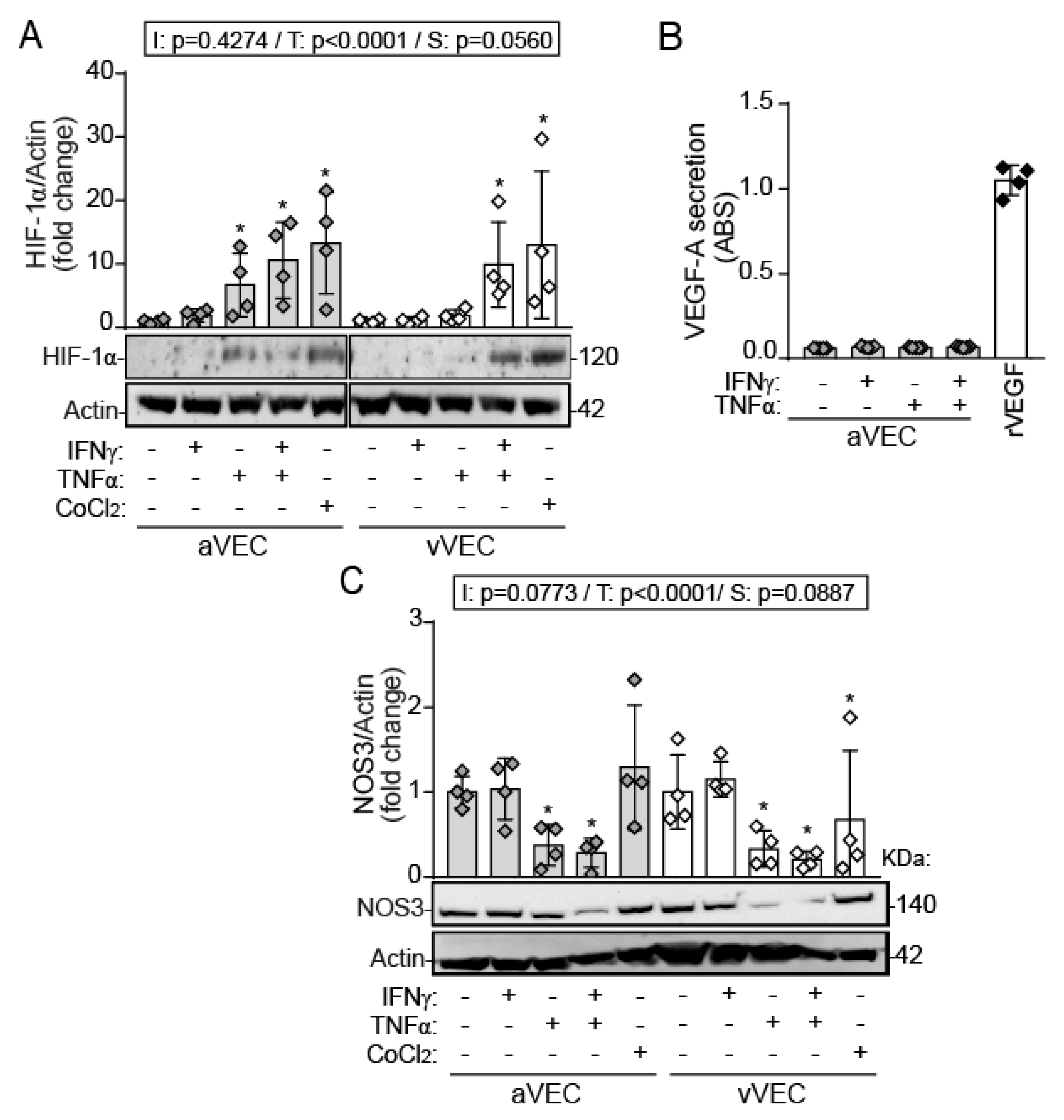 Ijms 22 10605 g003 550