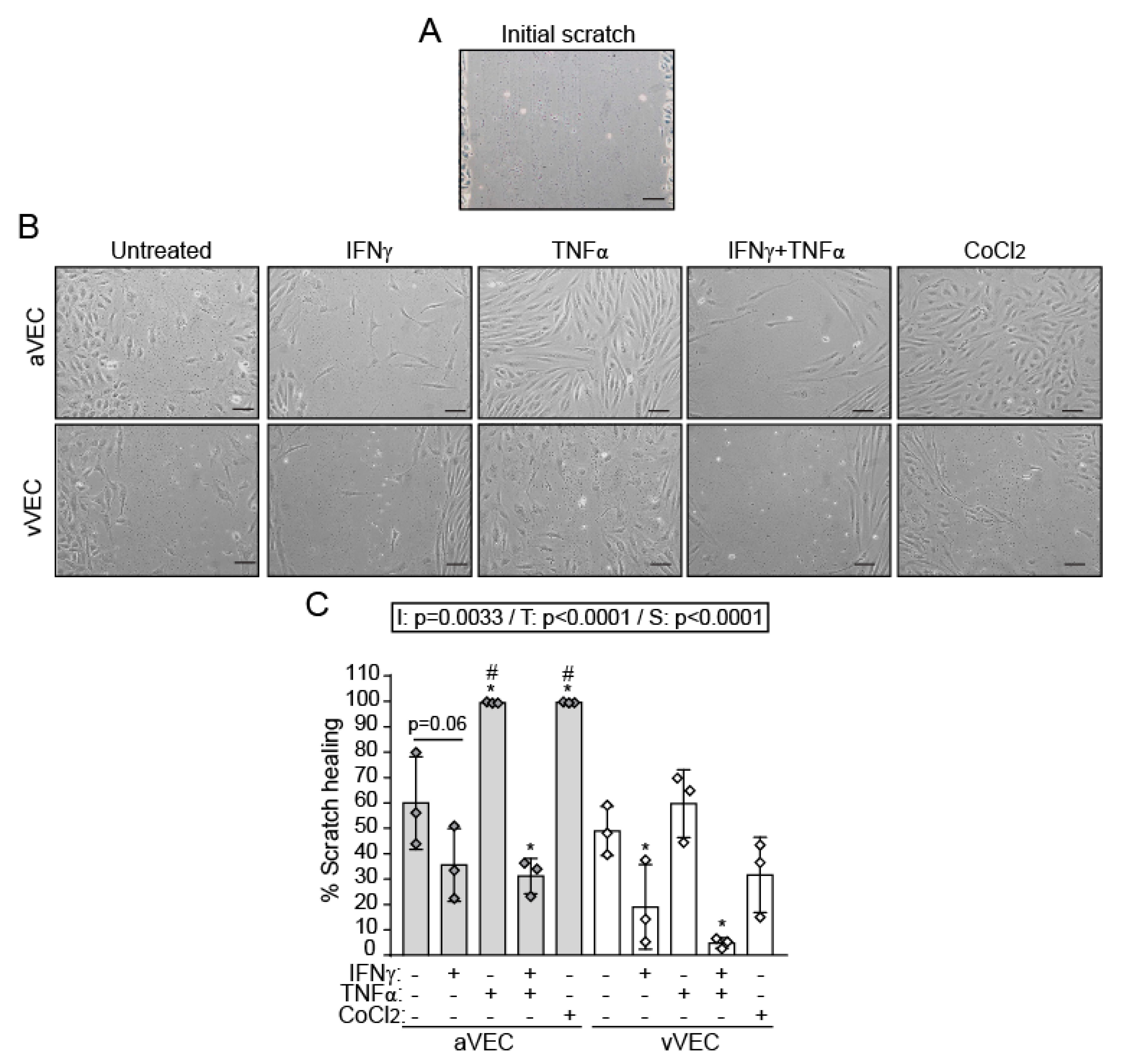 Ijms 22 10605 g004 550