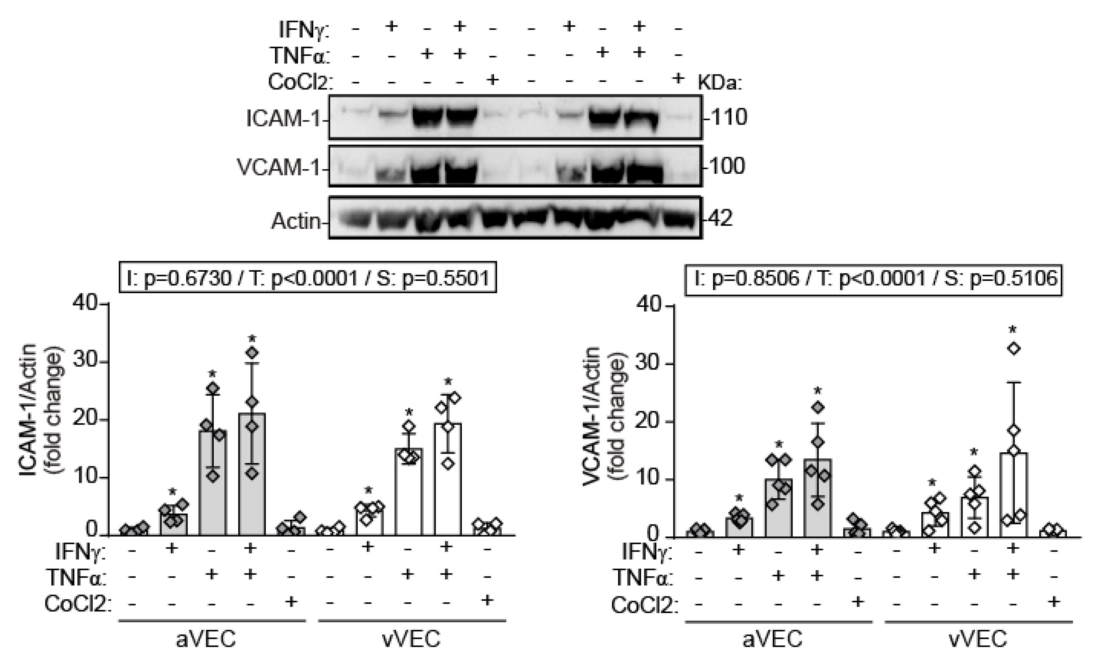 Ijms 22 10605 g006 550