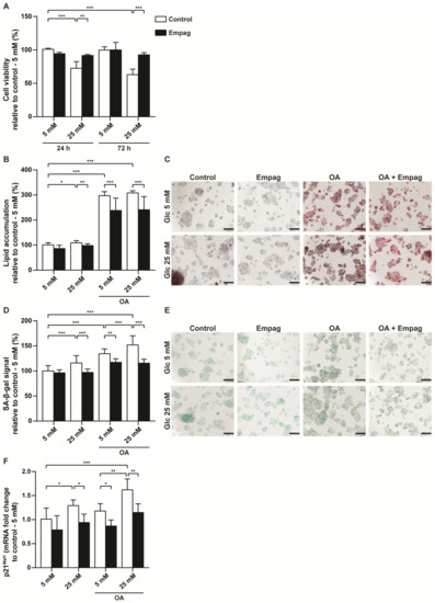 Complex Positive Effects of SGLT-2 Inhibitor Empagliflozin in the
