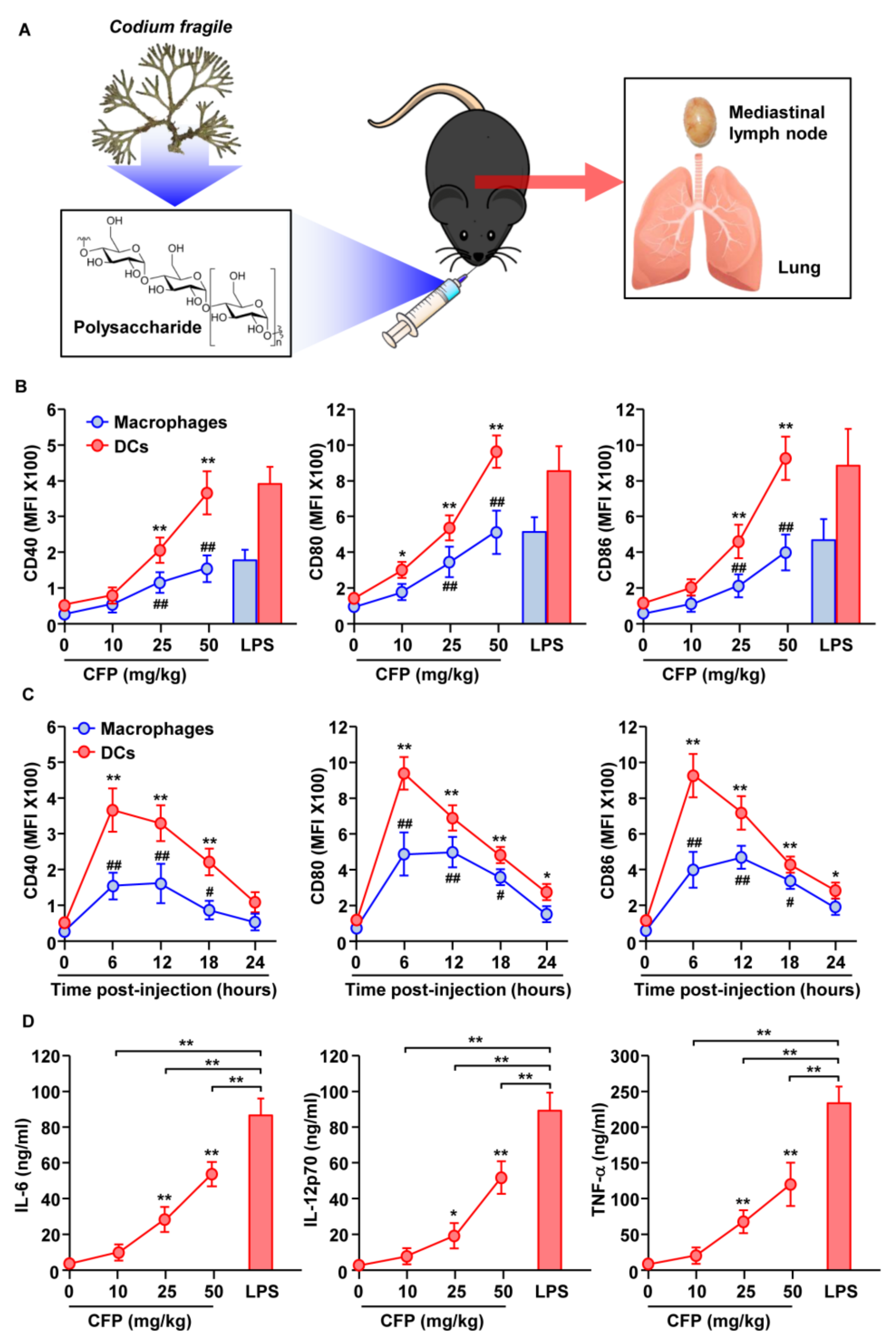 Ijms 22 10608 g001 550