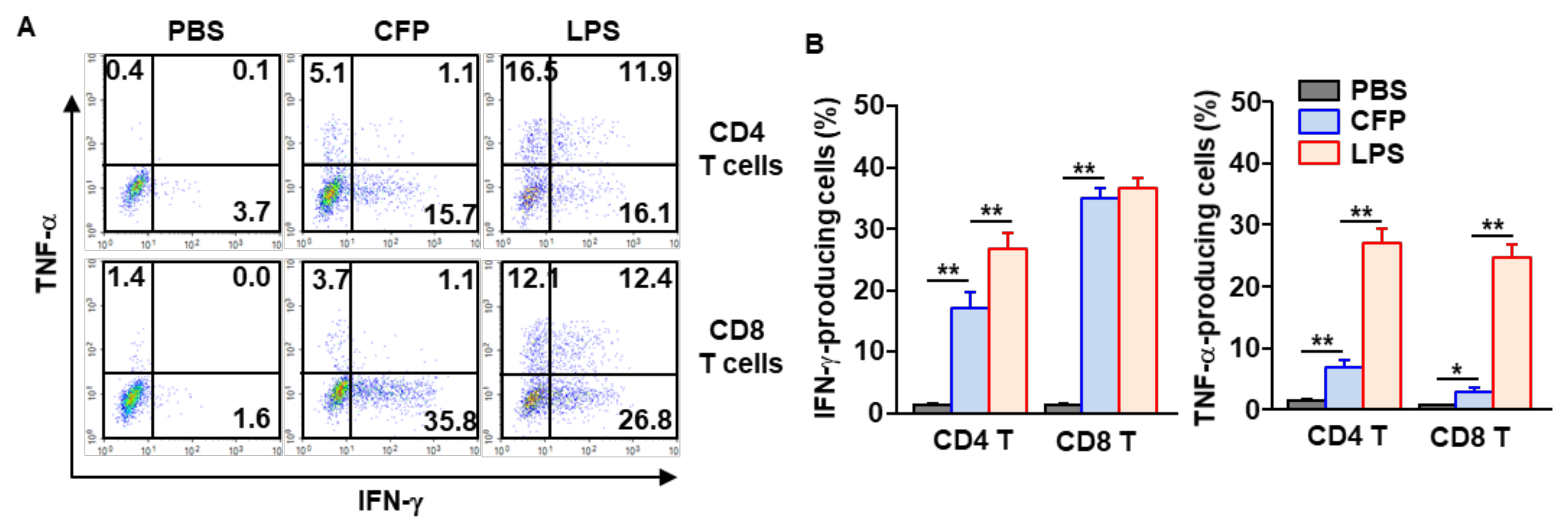 Ijms 22 10608 g004 550