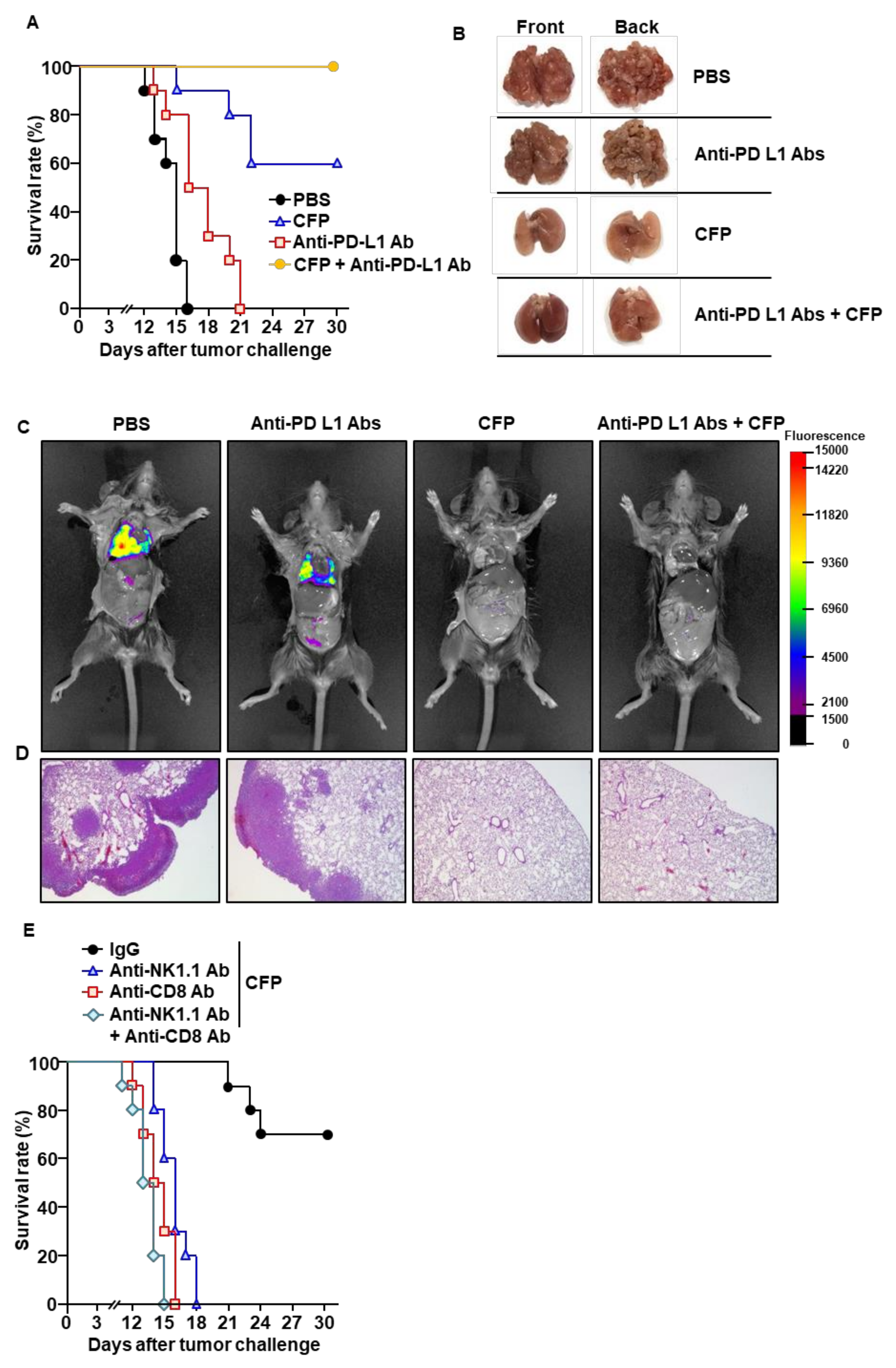 Ijms 22 10608 g005 550